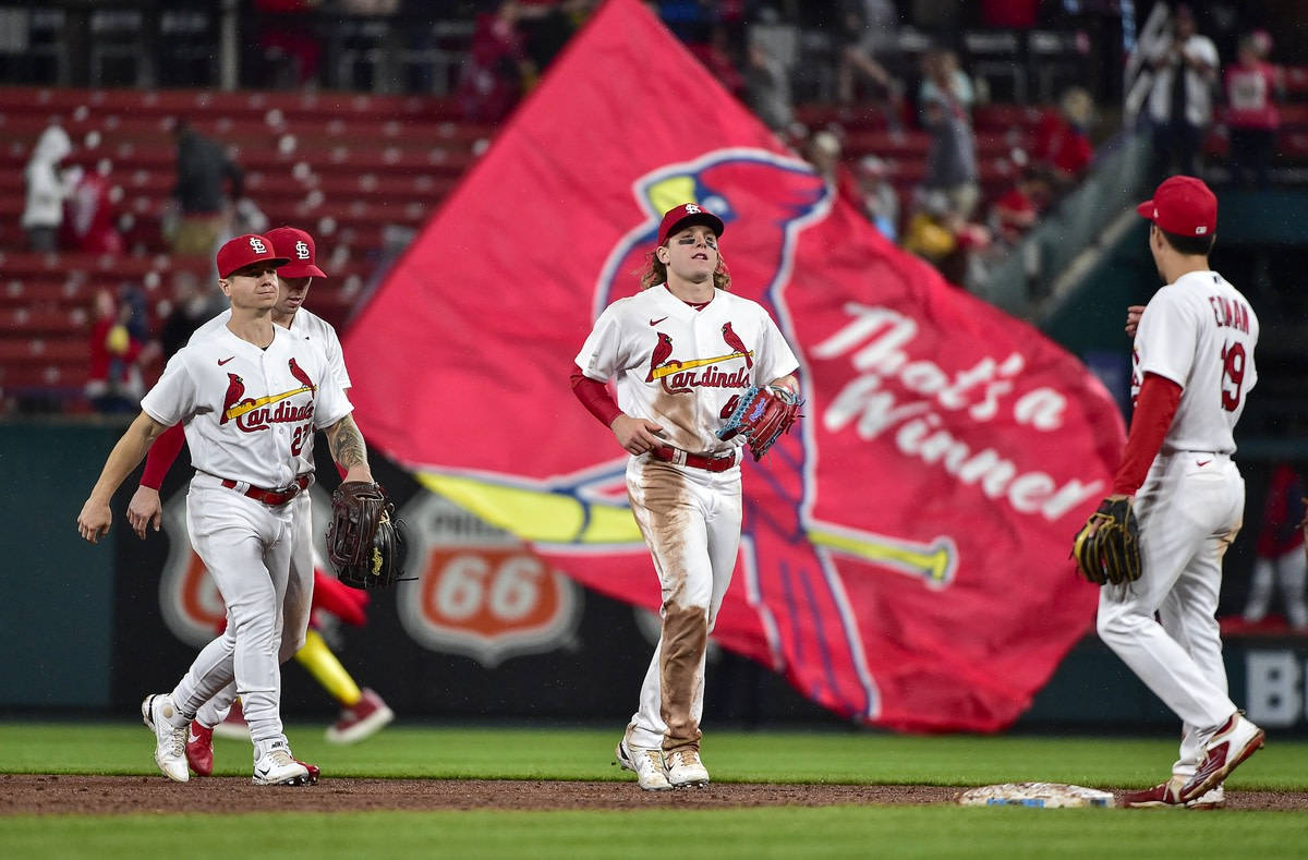 Cardinals 桌布 壁紙 — 身穿紅雀隊球衣的棒球運動員在球場上慶祝，身後有一個巨大的紅色「That's a Winner」橫幅。