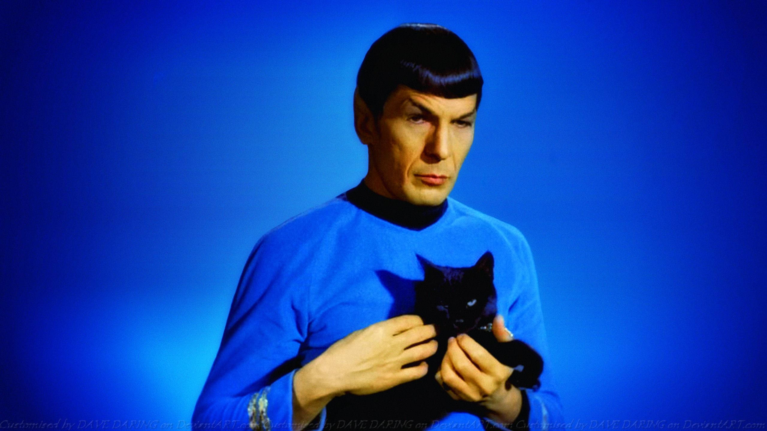 Spock 桌布 壁紙 — 身穿藍色制服的史巴克在柔和燈光的漸變藍色背景前抱著一隻黑貓。