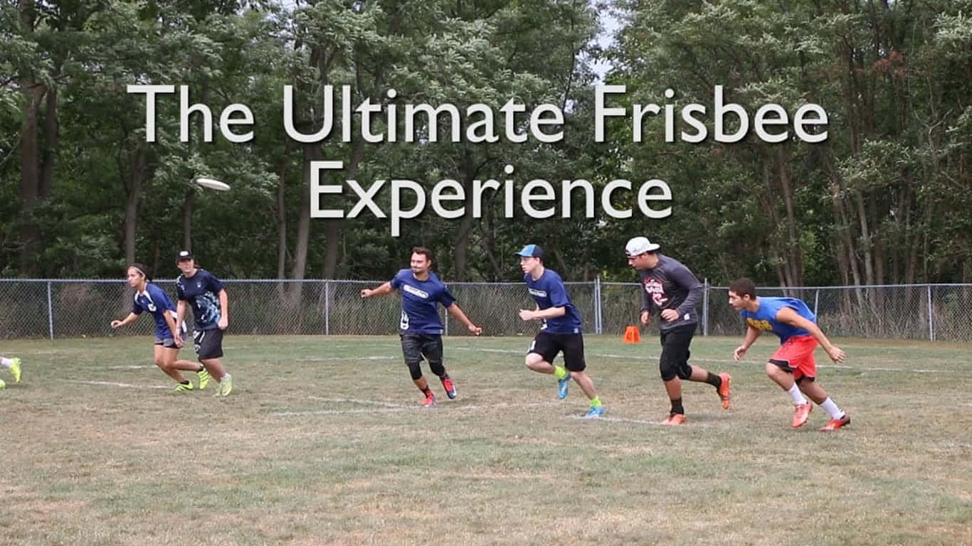 1366x768 Ultimate Frisbee 桌布 壁紙 — 身穿藍色和紅色球衣的球員在草地上奔跑，追逐飛行的飛盤，背景有樹木和圍欄。