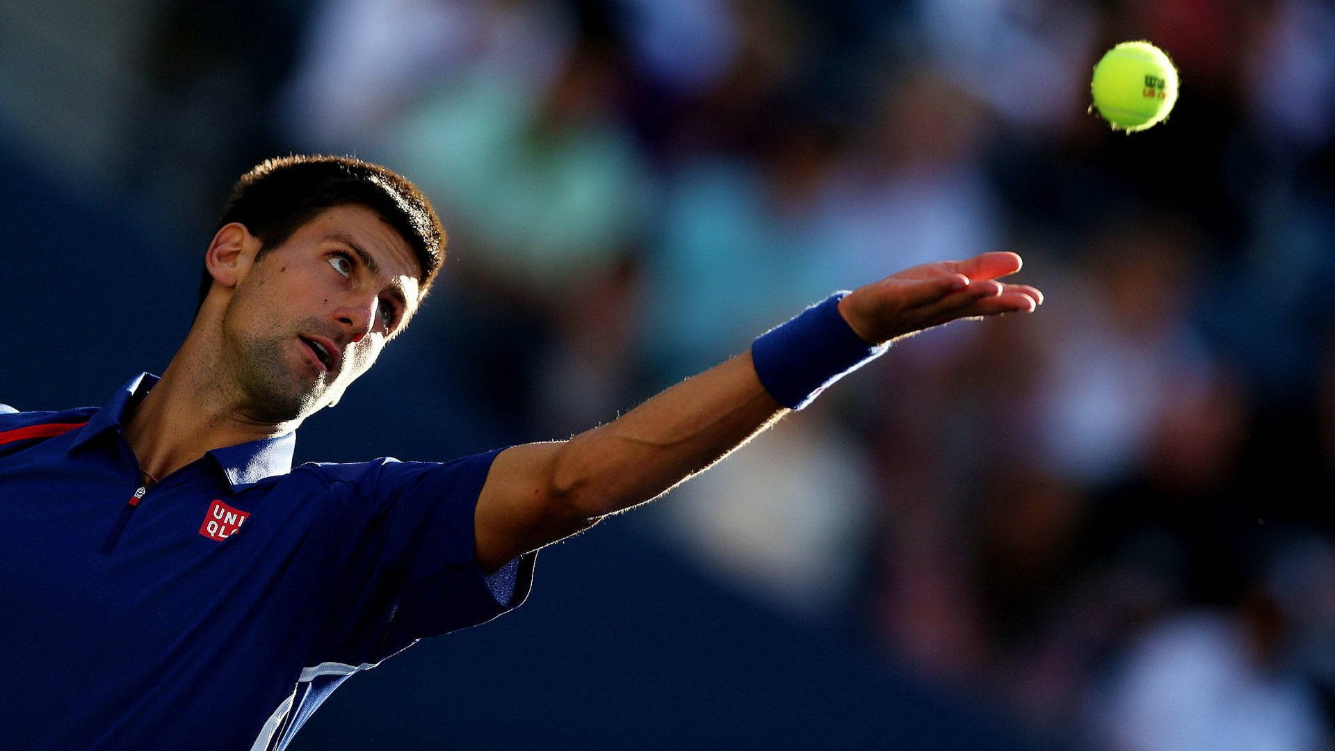 Novak 桌布 壁紙 — 身穿藍色襯衫的網球選手在發球中專注地將明亮的黃色球拋起，背景是模糊的體育場人群。