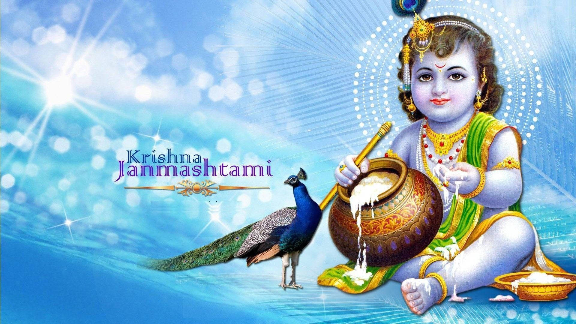 god full HD 桌布 壁紙 — 身穿鮮豔綠色和金色服飾的嬰兒克里希納，在燦爛的藍色背景下，從壺中倒出牛奶，一隻孔雀站在他旁邊。