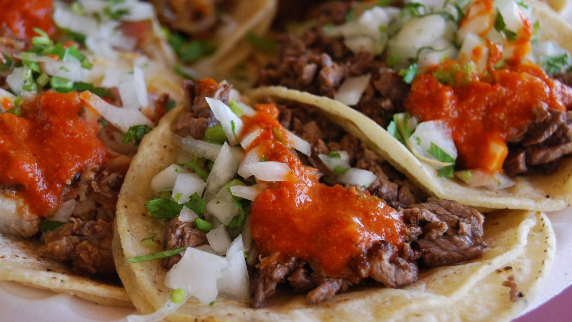 Taco 桌布 壁紙 — 軟玉米餅特寫，內餡有手撕肉、新鮮莎莎醬和切碎洋蔥。