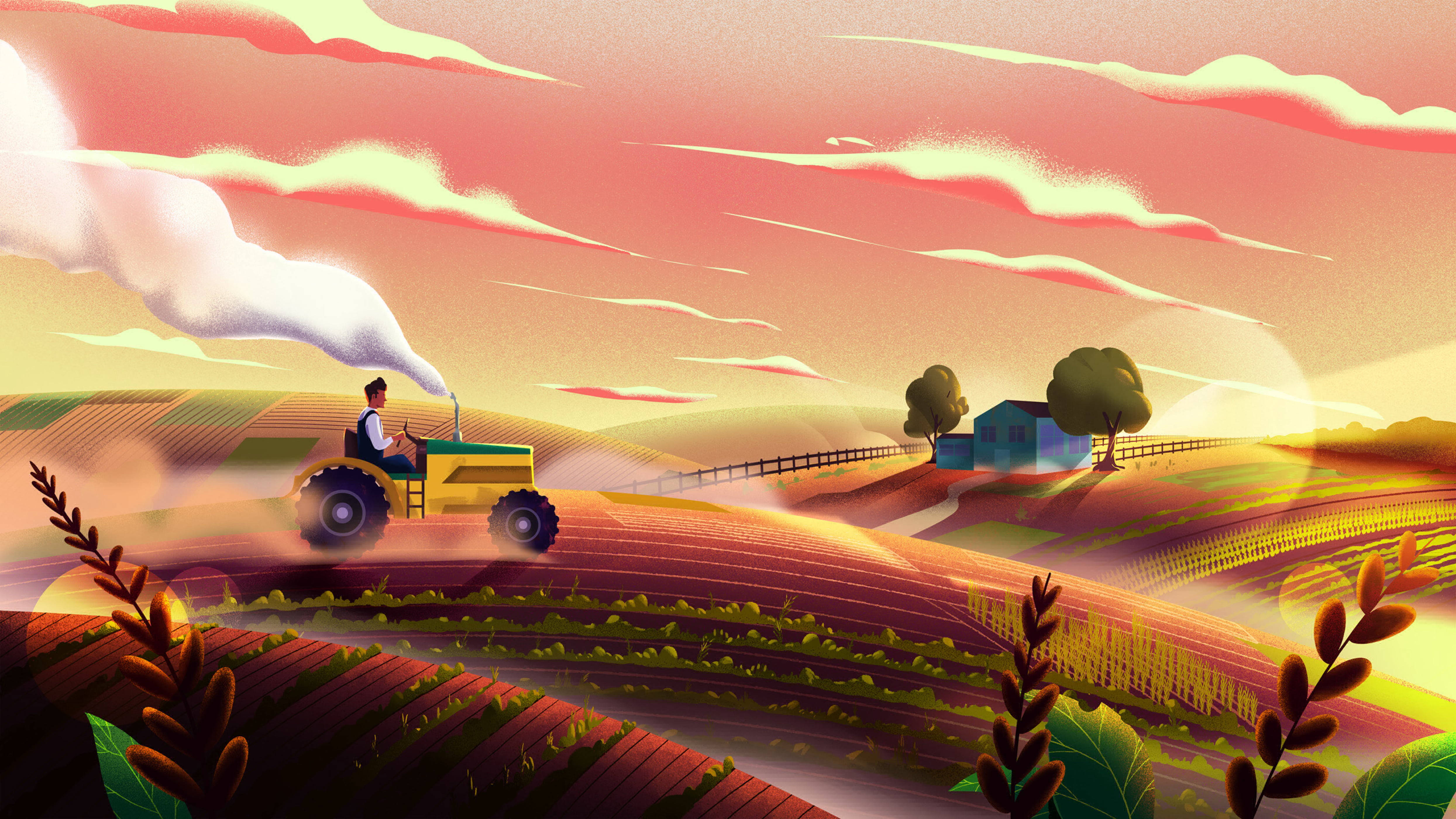Farmer 桌布 壁紙 — 農夫駕駛黃色拖拉機穿過起伏的農田，天空是充滿活力的粉紅色和橙色日落。