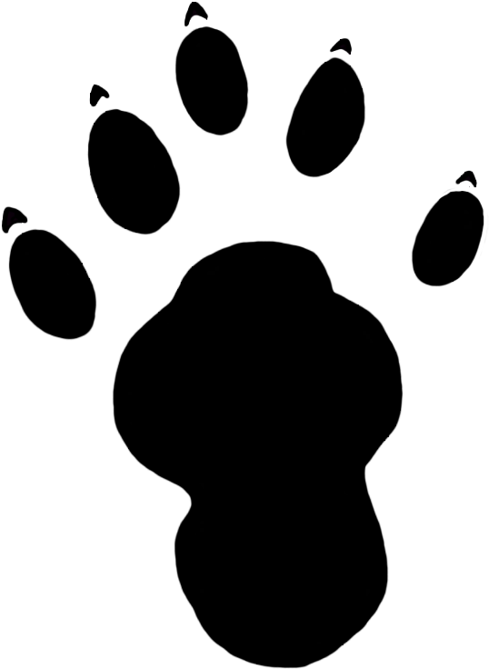 Otter 桌布 壁紙 — 近乎黑色的背景，帶有微弱散佈的光點，類似遙遠的星星或宇宙塵埃。