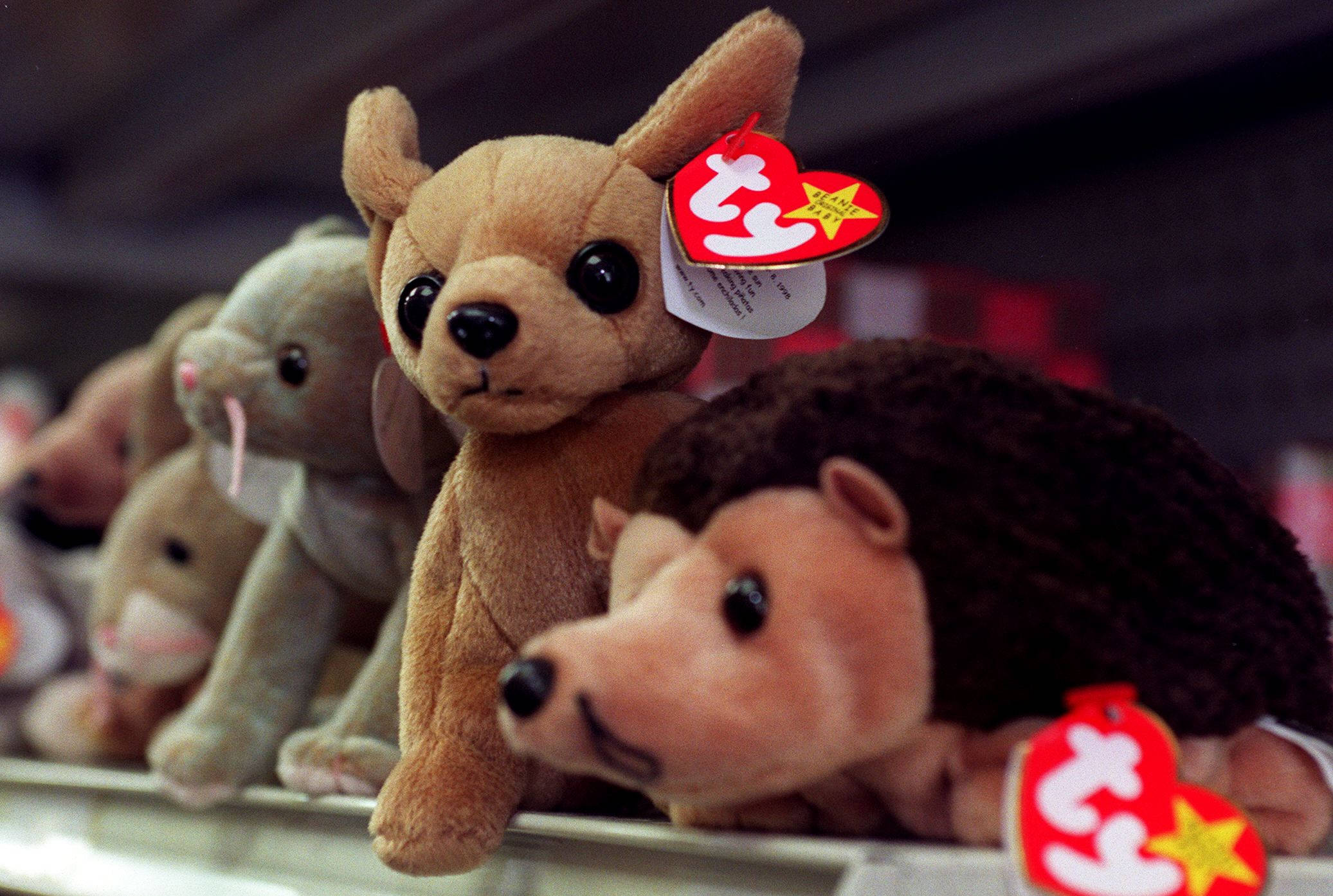 Beanie 桌布 壁紙 — 近距離拍攝一排擺放在架子上的 Ty Beanie Babies 毛絨玩具，包括一隻淺棕色狗和一隻棕色刺蝟。