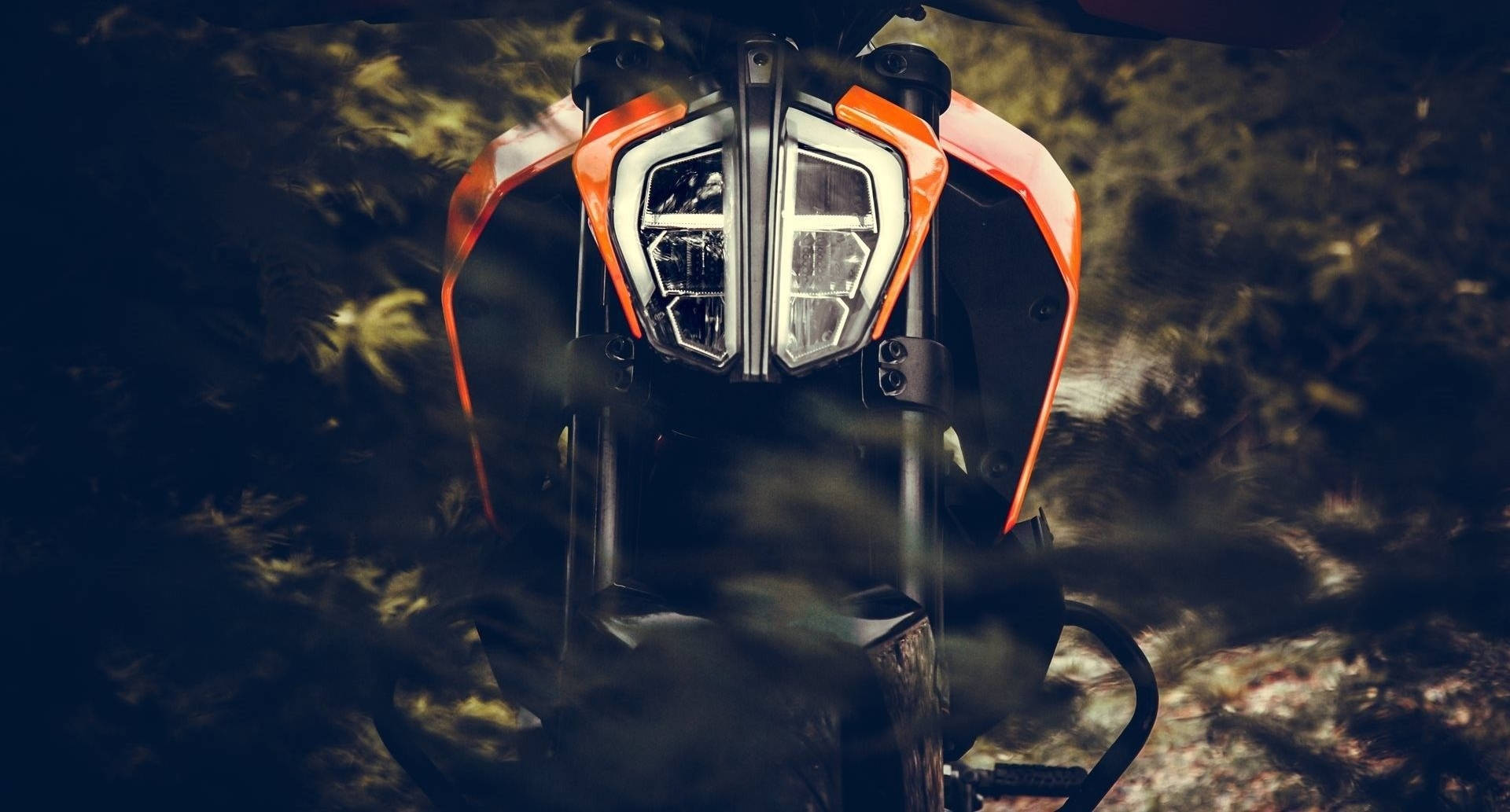 Ktm Bike 桌布 壁紙 — 近距離拍攝一盞時尚的橙色和黑色機車頭燈，穿過迷霧森林的灌木叢。