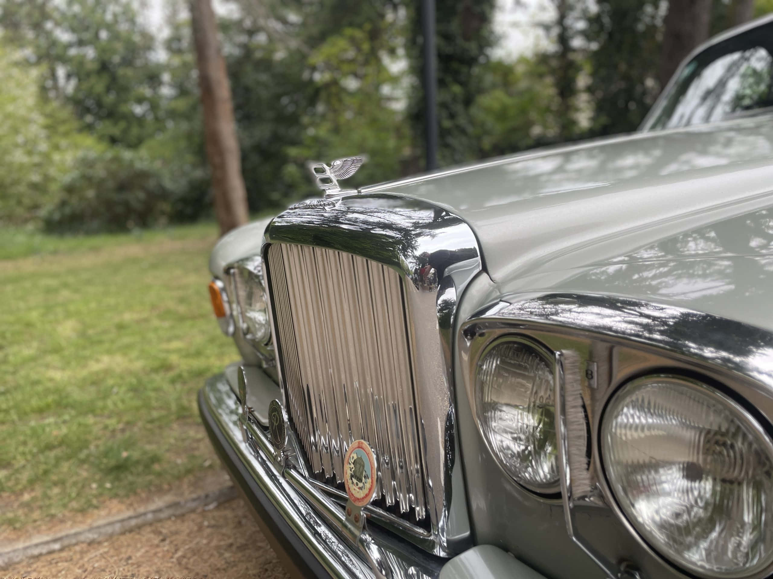 Bentley T2 桌布 壁紙 — 近距離拍攝一輛復古銀色賓利，帶有鍍鉻格柵和引擎蓋飾物，停放在樹旁的草地上。