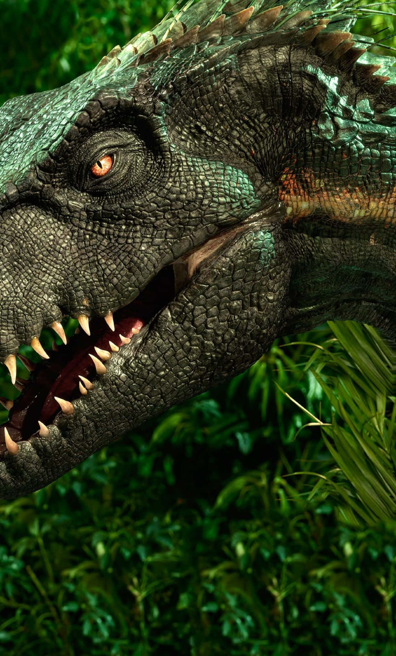 Realistic Dinosaur 桌布 壁紙 — 近距離拍攝一隻兇猛的恐龍，擁有發光的橙色眼睛和鋒利的牙齒，從茂密的綠色叢林樹葉中出現。