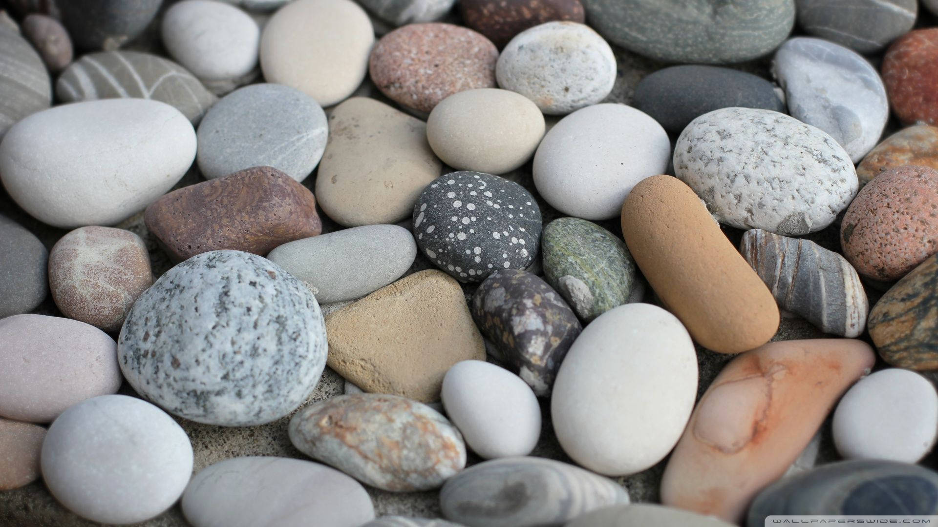 Stone 桌布 壁紙 — 近距離拍攝光滑圓潤的河石，呈現多種大地色調和圖案。