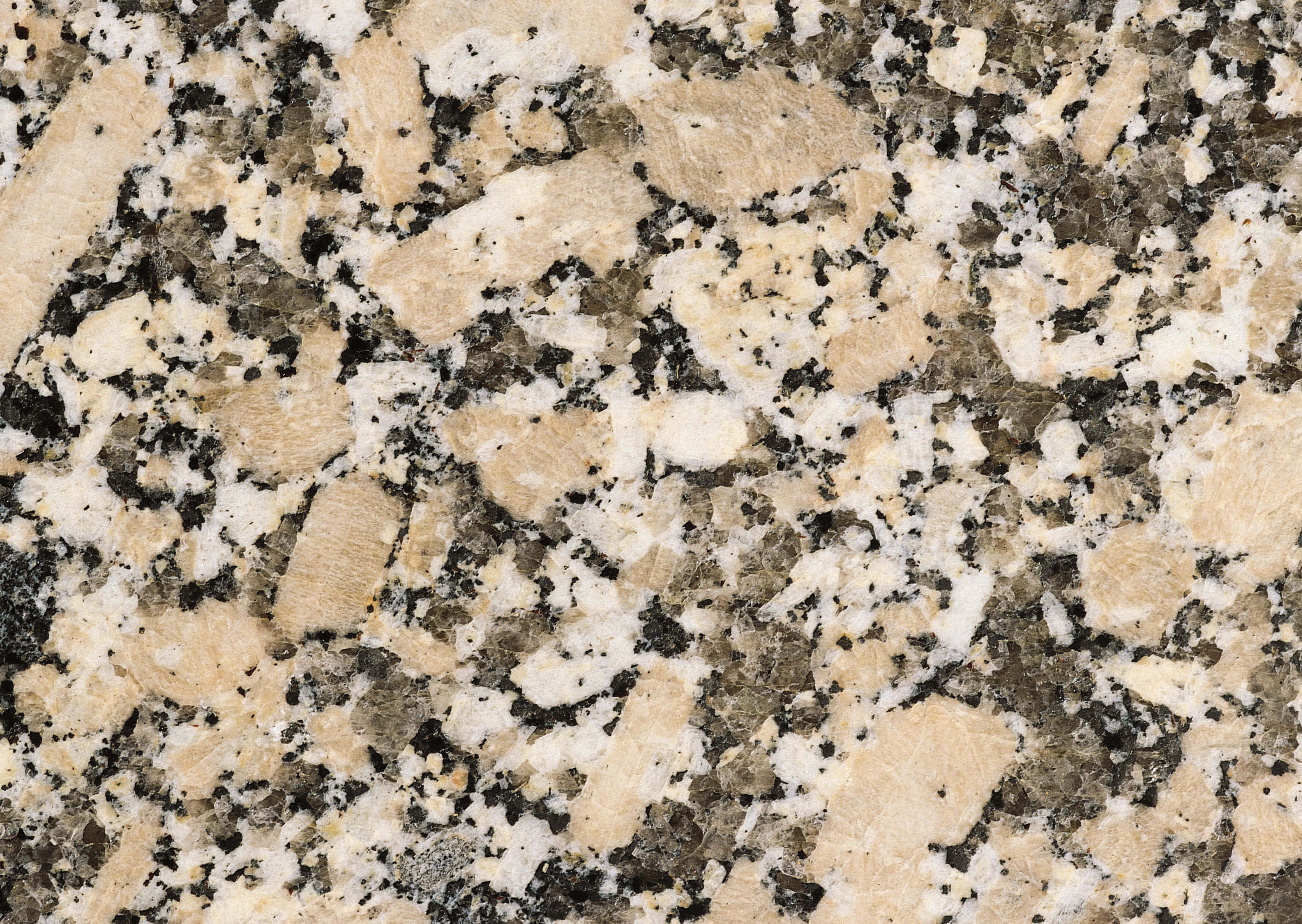 Granite 桌布 壁紙 — 近距離拍攝帶有米色、白色和黑色礦物顆粒的斑點花崗岩，呈現天然石材紋理。