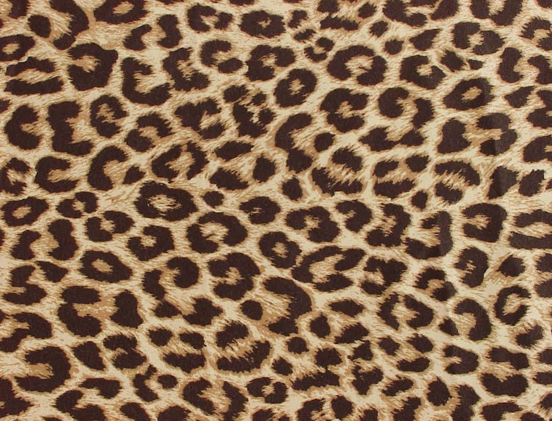Leopard Pattern 桌布 壁紙 — 近距離拍攝帶有經典豹紋圖案的質感布料，棕色和黃褐色。