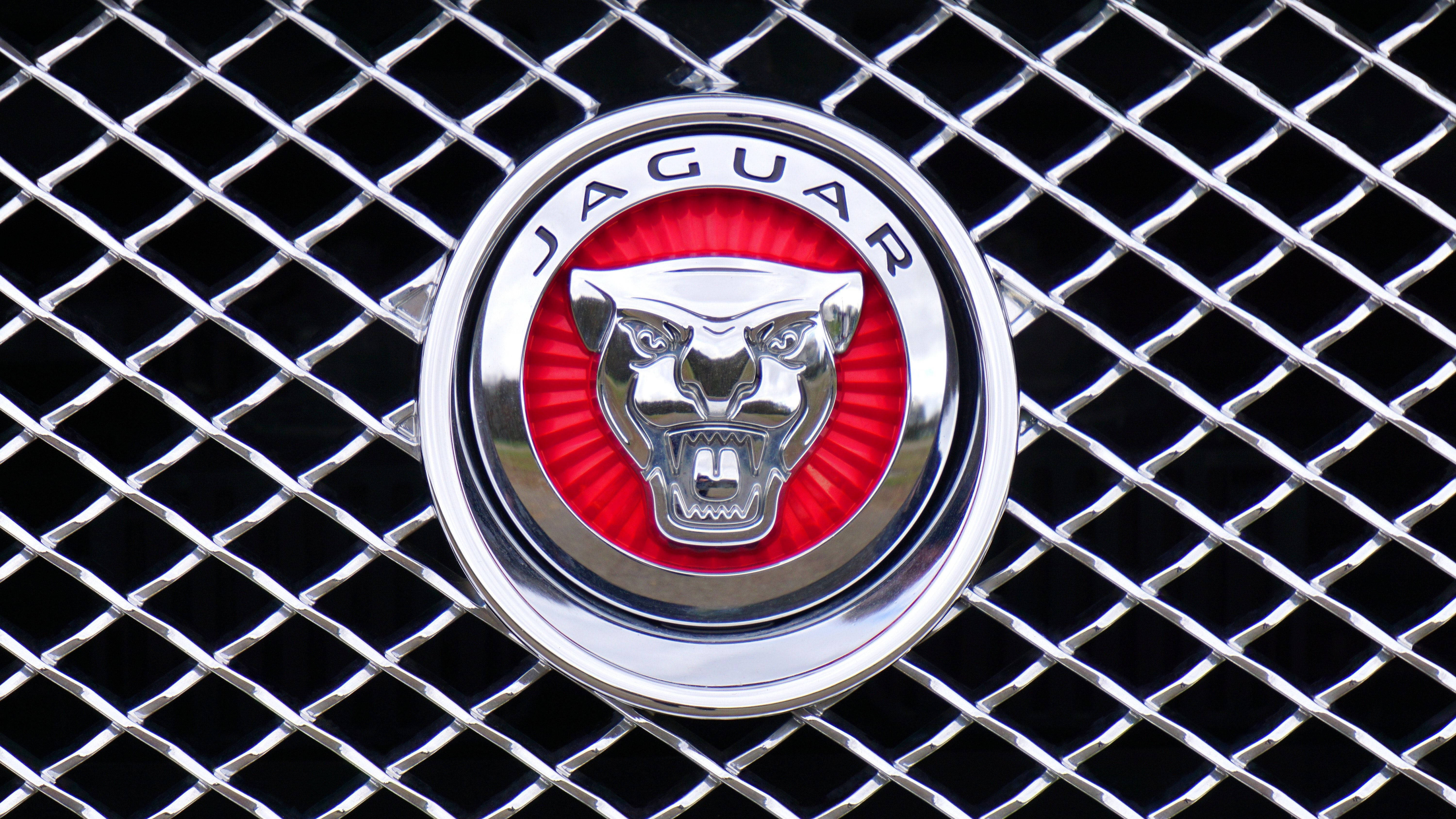 美洲豹汽車 桌布 壁紙 — 近距離拍攝的Jaguar汽車標誌，紅色背景上有一隻咆哮的銀色黑豹，位於鍍鉻網狀格柵中央。