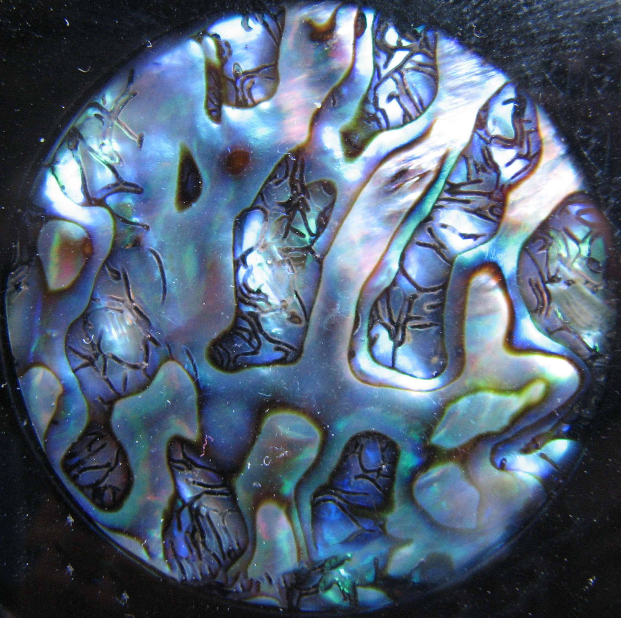 artwork 桌布 壁紙 — 近距離拍攝的虹彩鮑魚殼，在深色背景上呈現旋轉的藍色、綠色和銀色圖案。