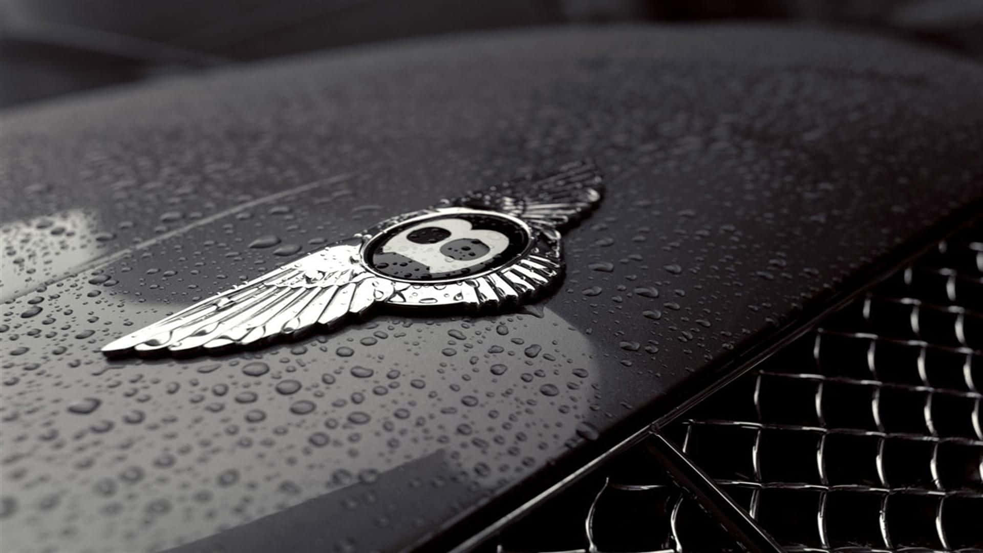 Best Bentley 桌布 壁紙 — 近距離拍攝賓利標誌在濕透的黑色引擎蓋上閃閃發光，雨滴反射光線。