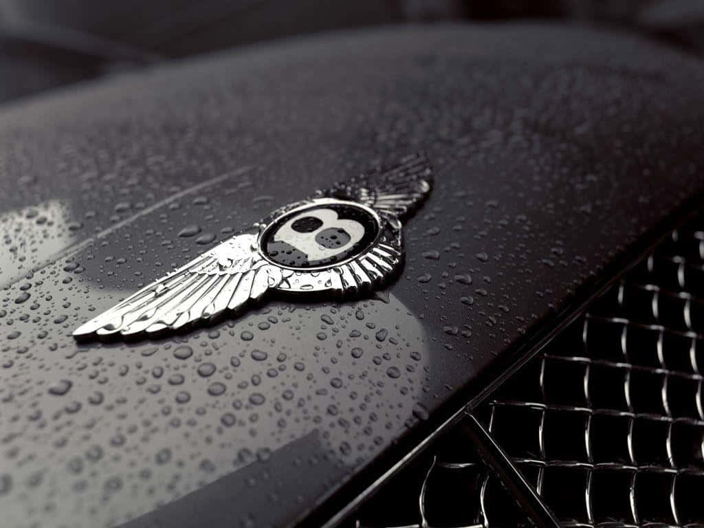 Car Logo 桌布 壁紙 — 近距離拍攝賓利翼形標誌在濕透的黑色引擎蓋上閃耀，雨滴反射光線。