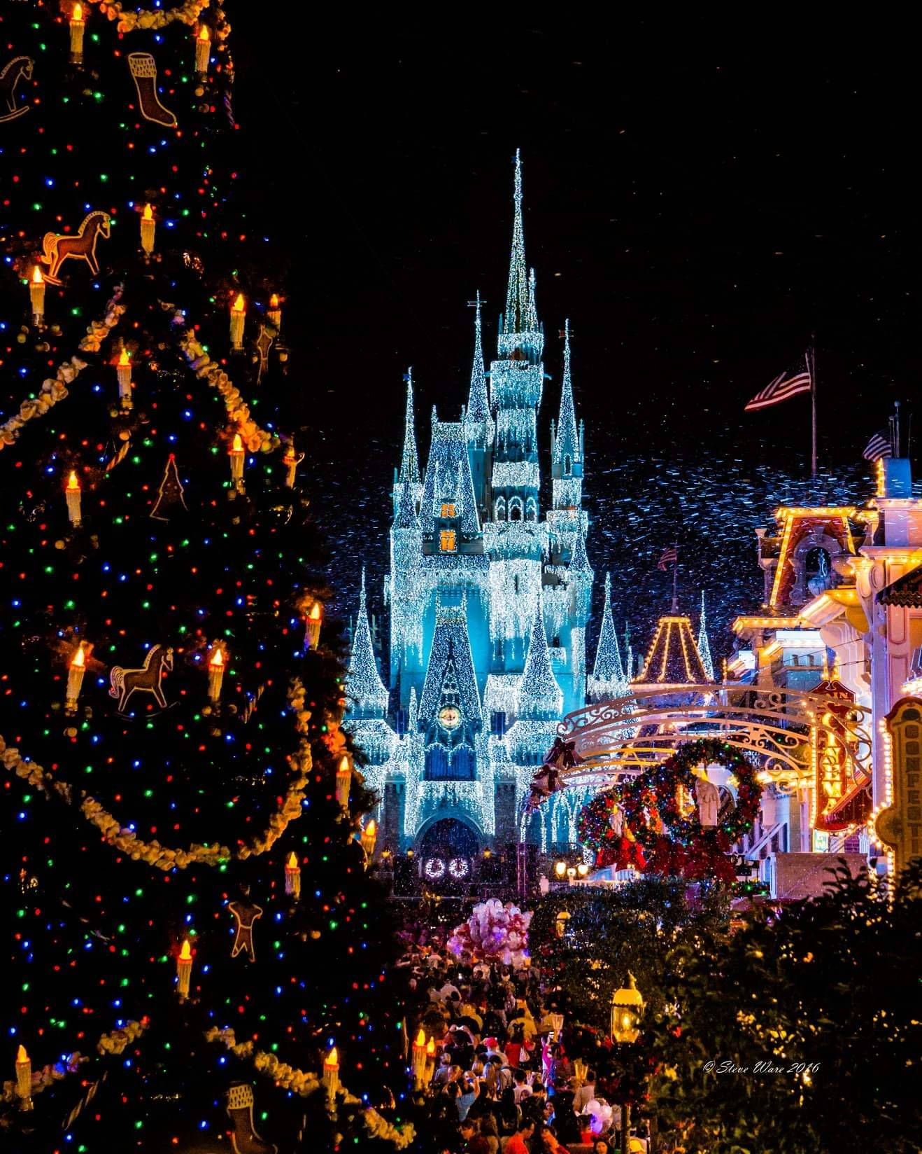 Disneyland Castle 桌布 壁紙 — 迪士尼世界灰姑娘城堡的迷人夜景，藍白燈光璀璨奪目，襯托著一棵巨大的裝飾聖誕樹，雪花飄落。