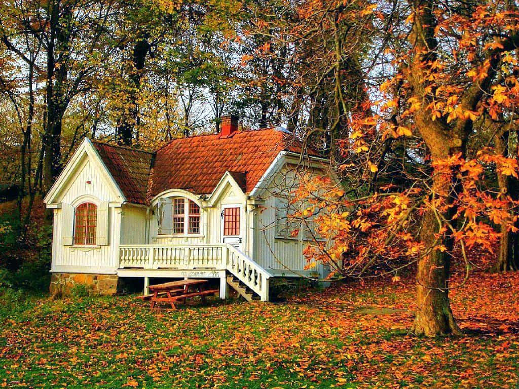 Home 桌布 壁紙 — 迷人的白色小屋，紅色屋頂，坐落在充滿活力的秋樹和落葉之中。