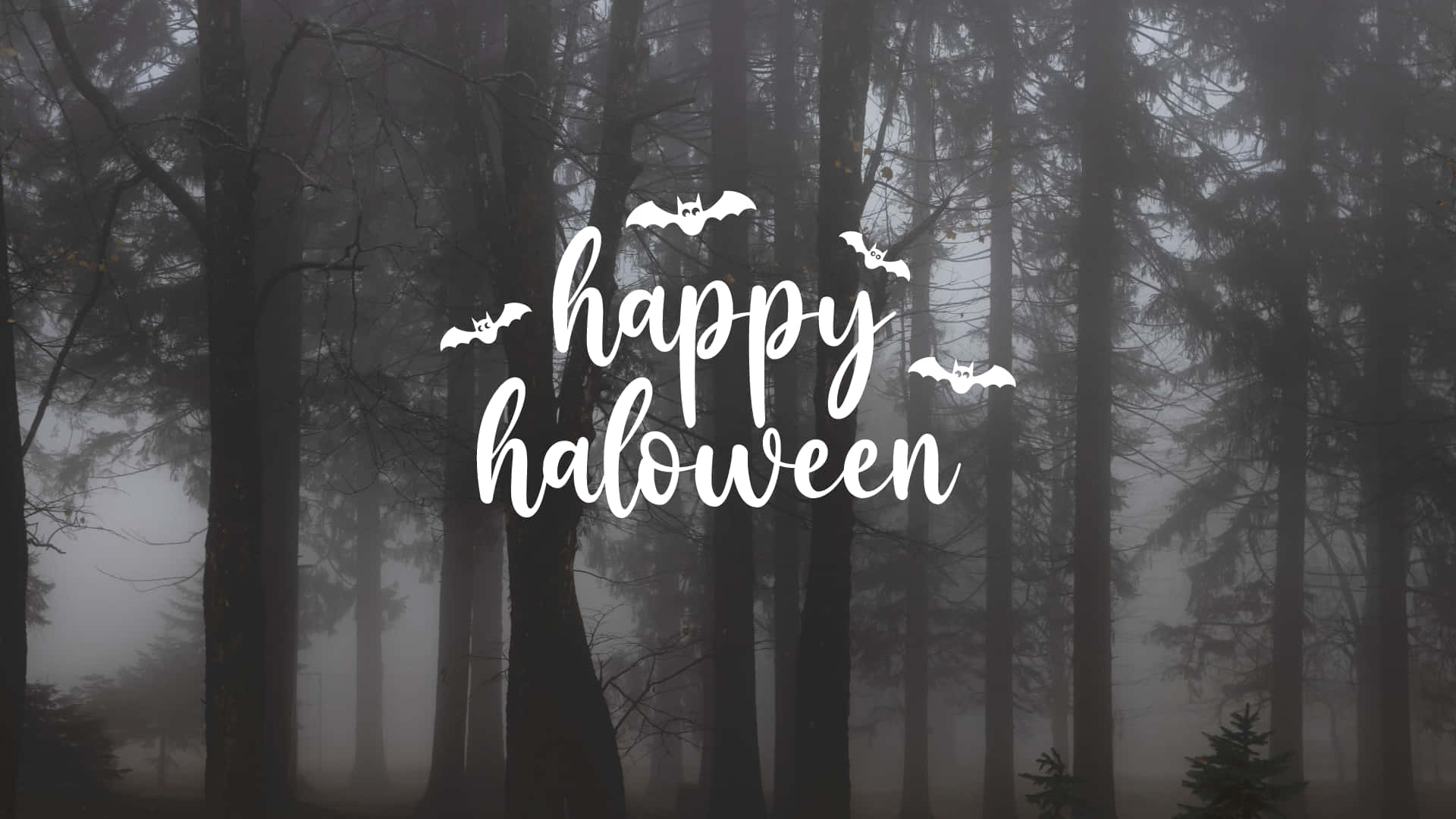 Greeting Card 桌布 壁紙 — 迷霧森林，高聳樹木，白色「happy halloween」文字，飛翔蝙蝠。