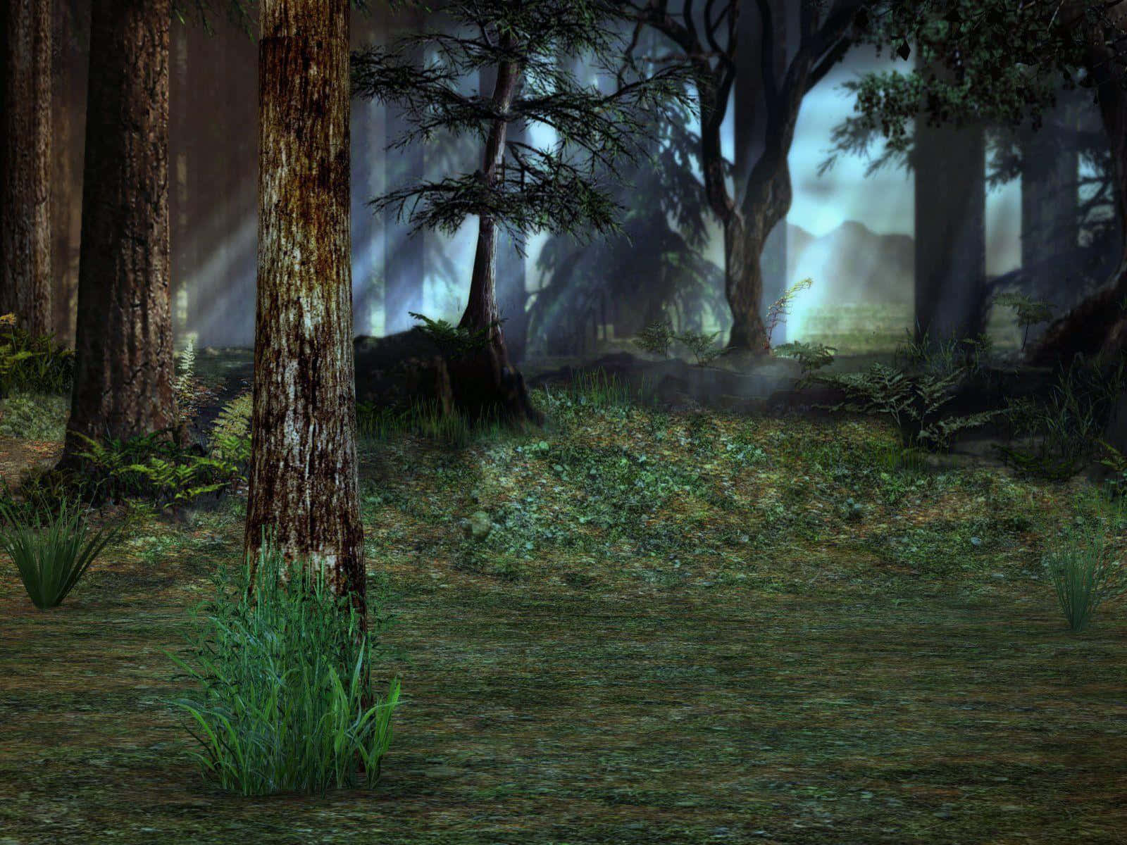Anime Forest 桌布 壁紙 — 迷霧森林，高聳的樹木和蕨類植物沐浴在透過茂密樹冠過濾的柔和藍光中。