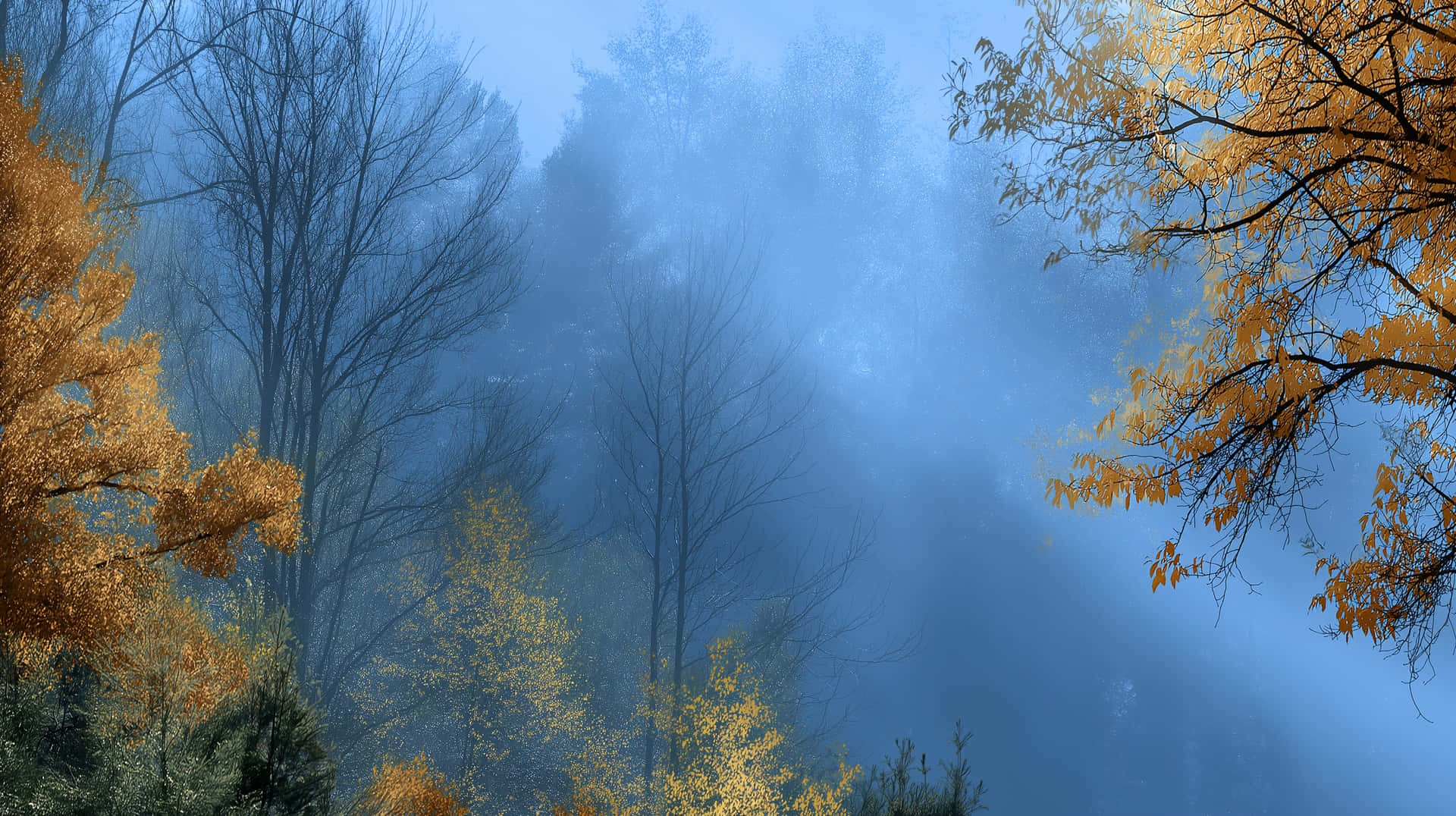 Forest Canopy in Fog: A Seasonal Transition Vista 壁紙 — 迷霧森林場景，金色秋葉襯托著光禿的樹枝，背景是朦朧的藍天。