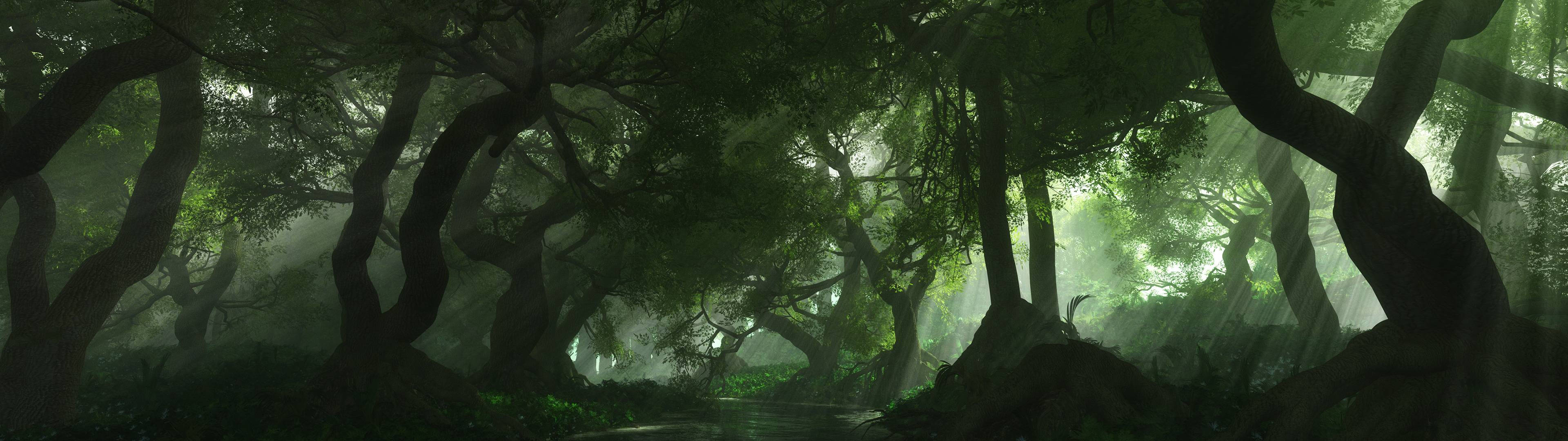 高清 桌布 壁紙 — 迷霧森林小徑蜿蜒穿過古老扭曲的樹木，陽光透過茂密的綠色樹冠灑落。