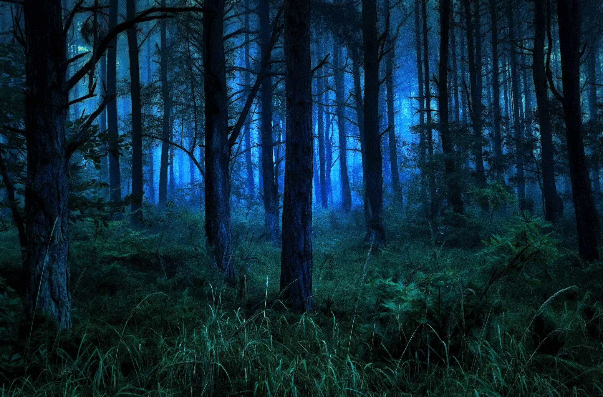Dark Forest iPhone 桌布 壁紙 — 迷霧森林沐浴在詭異的藍光中，高大的樹木和發光的綠色灌木叢。