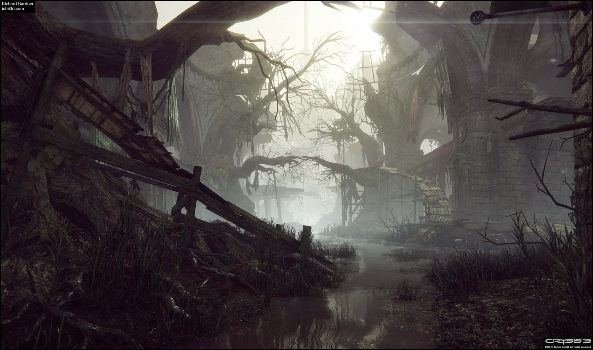 2440x1440 Crysis 3 桌布 壁紙 — 迷霧籠罩的廢墟，扭曲的樹木和藤蔓叢生，朦朧的陽光穿過破損的建築物。