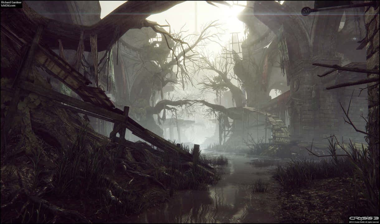 720p Crysis 3 桌布 壁紙 — 迷霧籠罩的廢墟，纏繞著扭曲的樹木和藤蔓，在朦朧的陽光下。