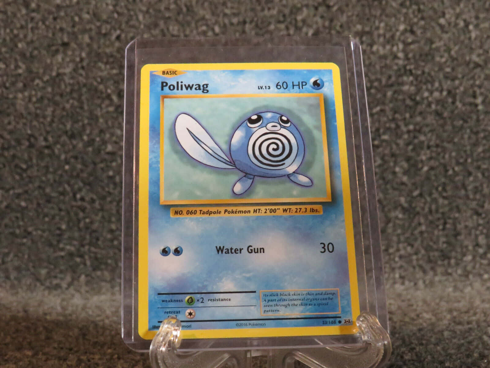 寶可夢 桌布 壁紙 — 透明塑膠盒內含一張Poliwag Pokémon卡片，卡片上有一隻藍色螺旋圖案的蝌蚪，背景是多雲的天空。