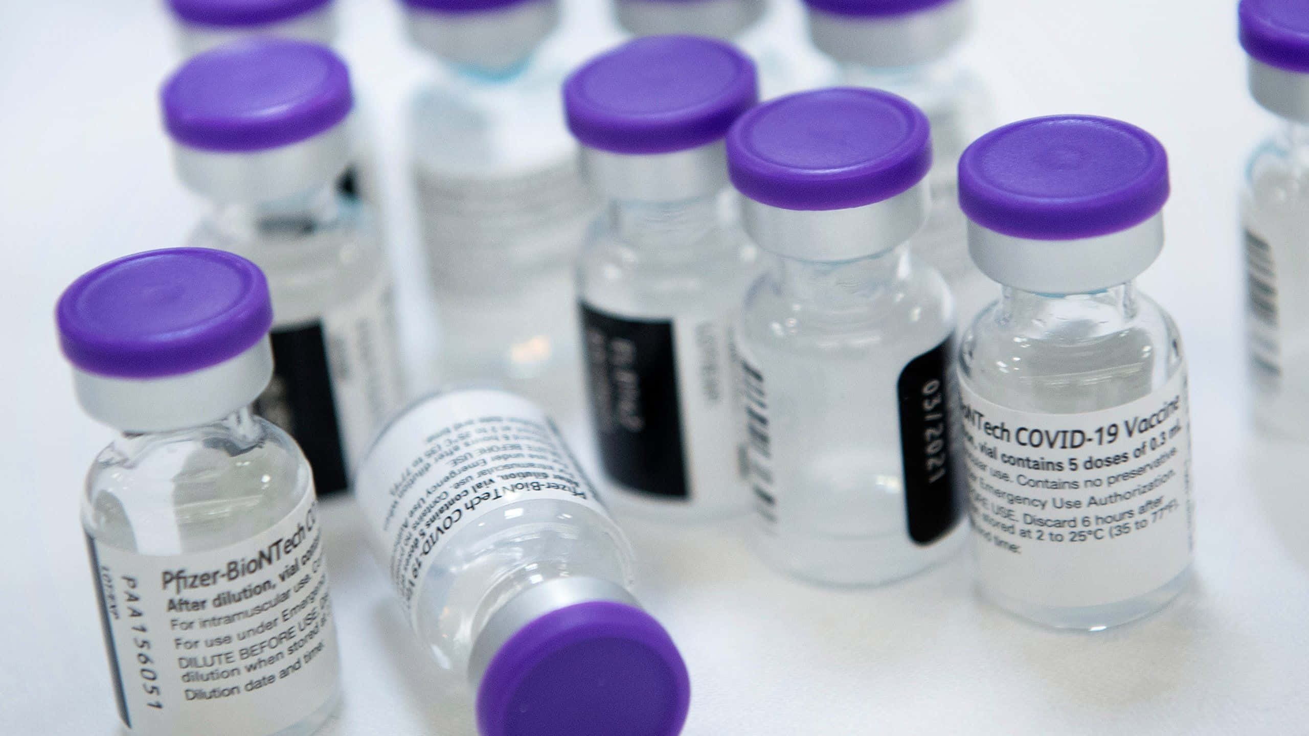 Vaccine 桌布 壁紙 — 透明玻璃小瓶帶紫色蓋子，標有輝瑞BioNTech COVID-19疫苗，排列在白色表面上。