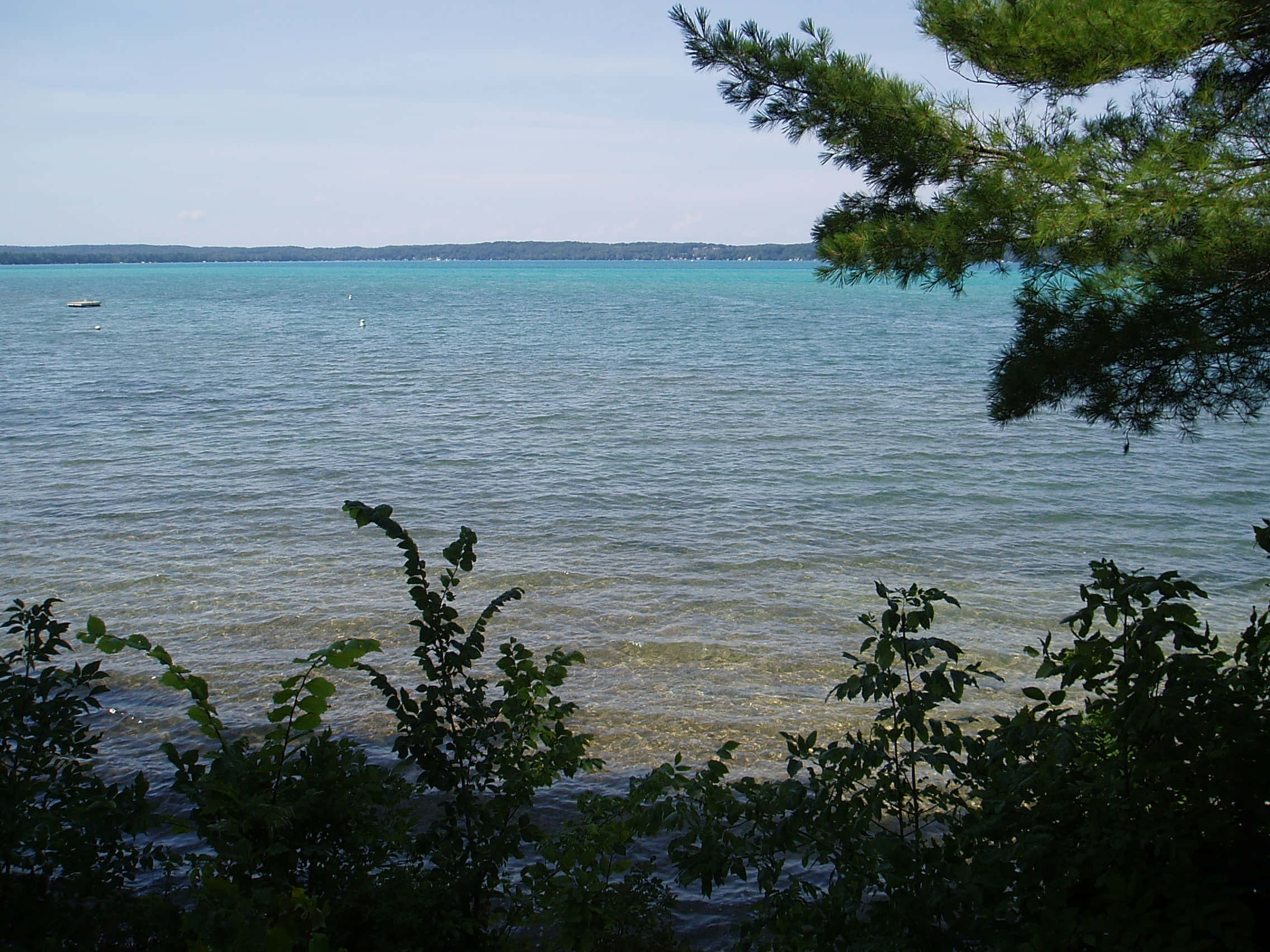 Torch Lake 桌布 壁紙 — 透過剪影般的綠色樹葉，看到一個寧靜的碧綠湖泊，遠處有船隻和樹木成行的岸邊，天空晴朗。