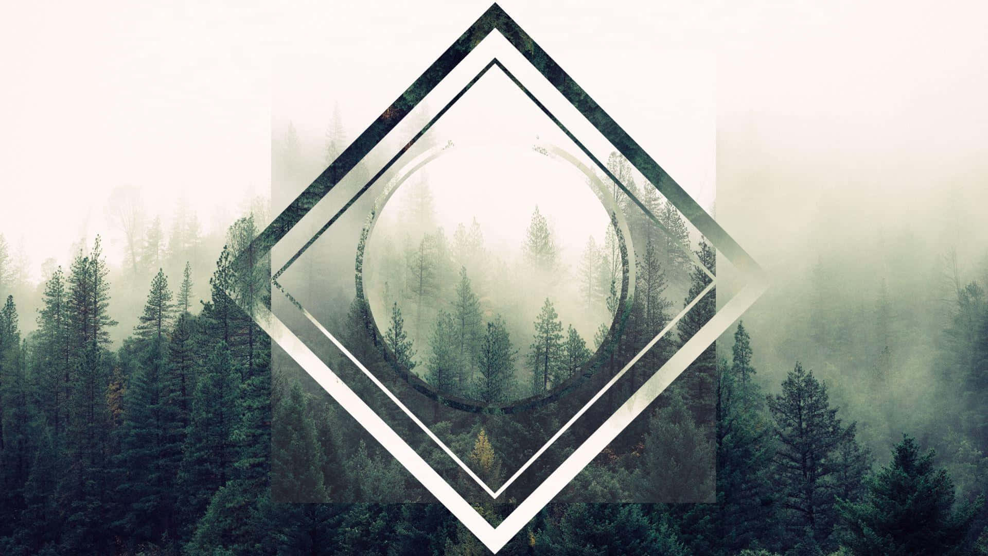 Hipster Desktop 桌布 壁紙 — 透過層疊幾何框架觀看的迷霧森林，營造出超現實的隧道效果。