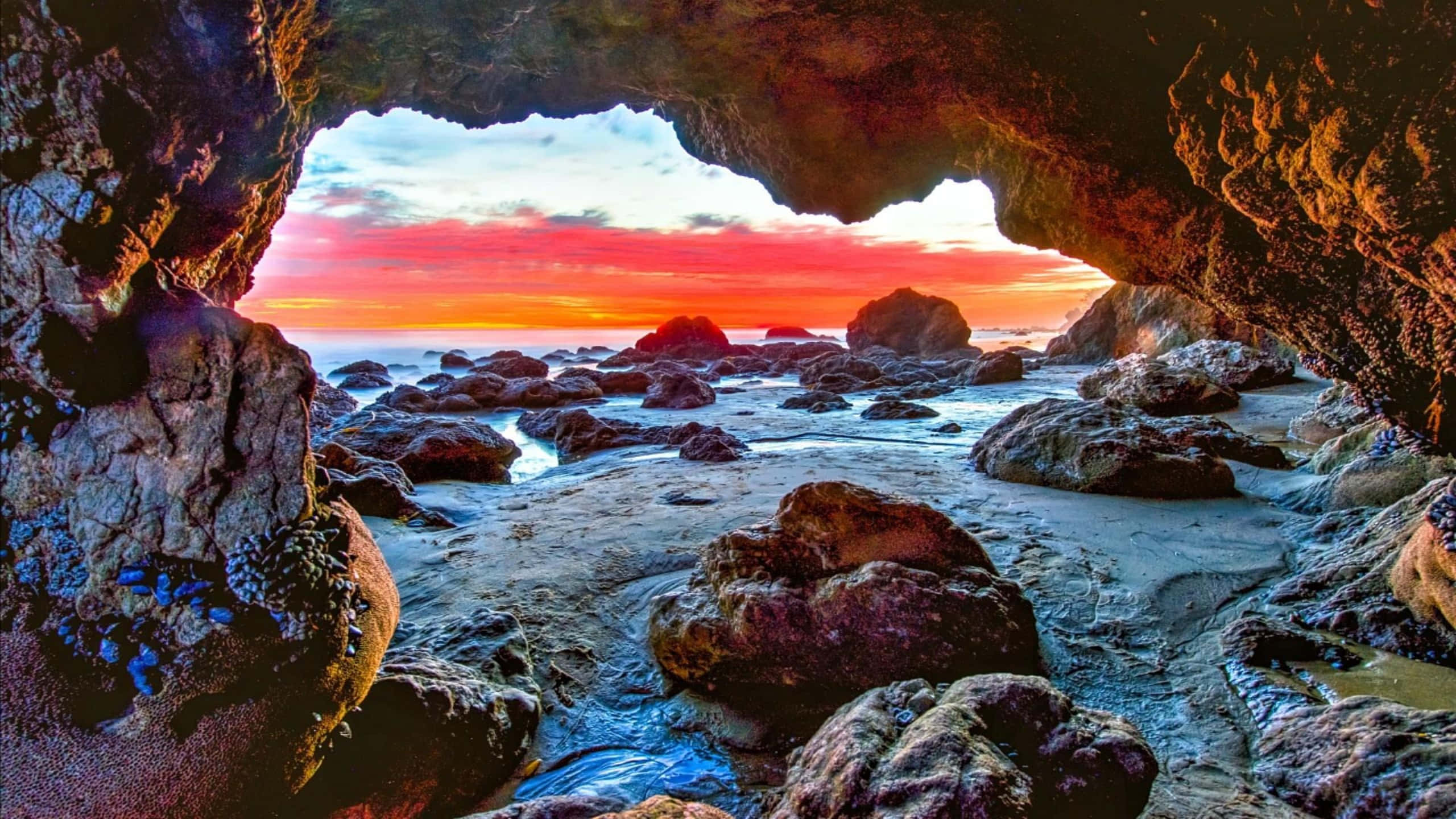 1440p Malibu 桌布 壁紙 — 透過岩石海灘上的天然岩石拱門看到的充滿活力的日落，天空呈現出橙色和粉紅色的光芒。