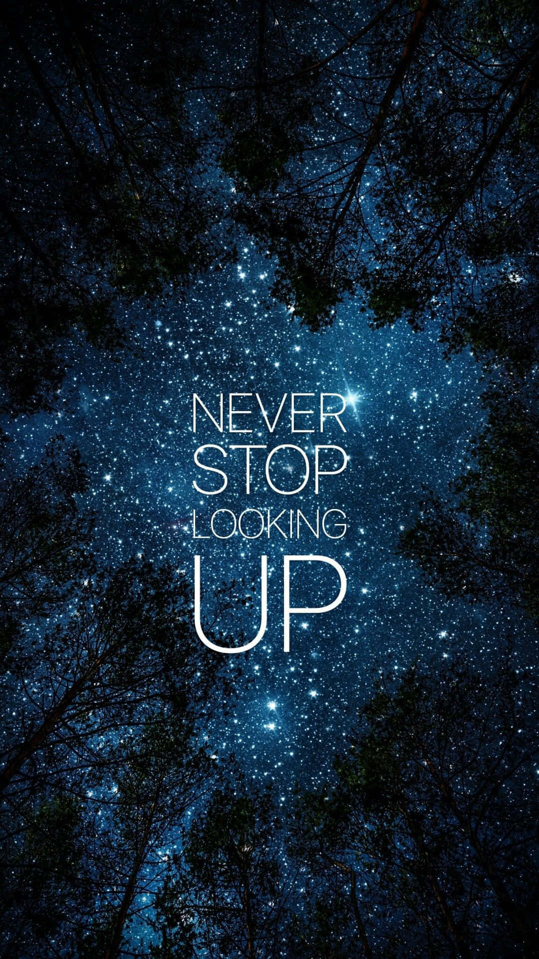 Stars 桌布 壁紙 — 透過深色樹枝看到的滿天星斗夜空，白色文字寫著永遠不要停止仰望。