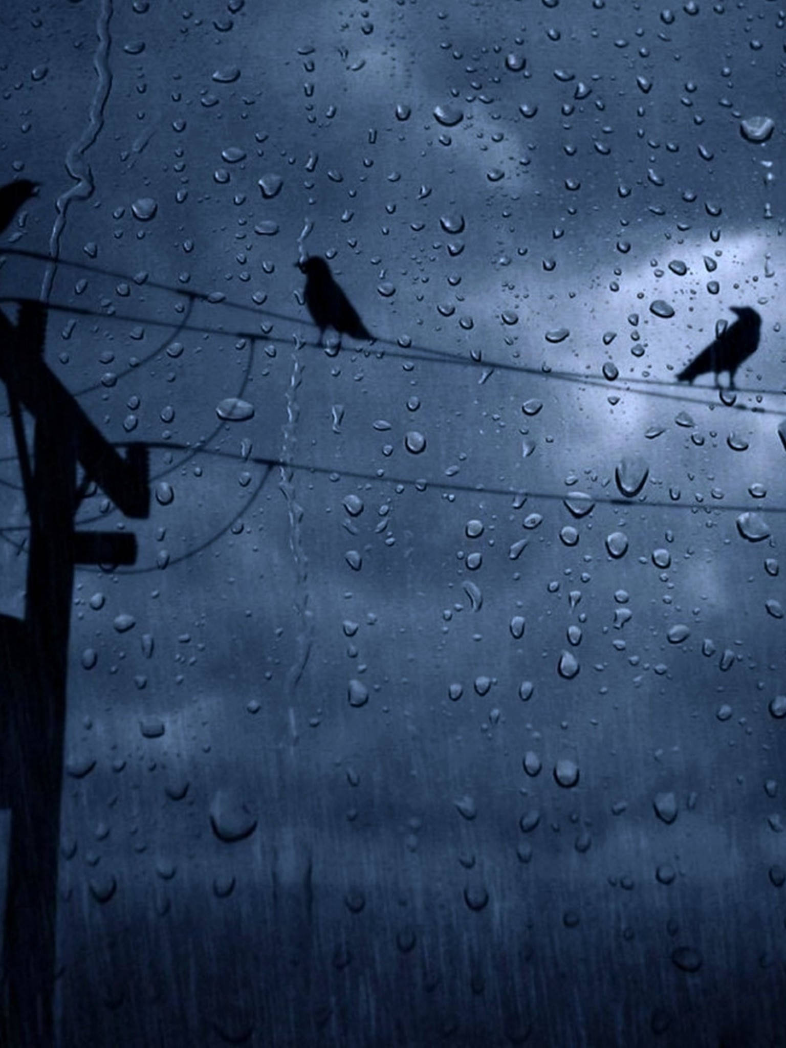 Weather 桌布 壁紙 — 透過濺滿雨水的玻璃，看到剪影鳥兒棲息在電線上，背景是暴風雨的天空。