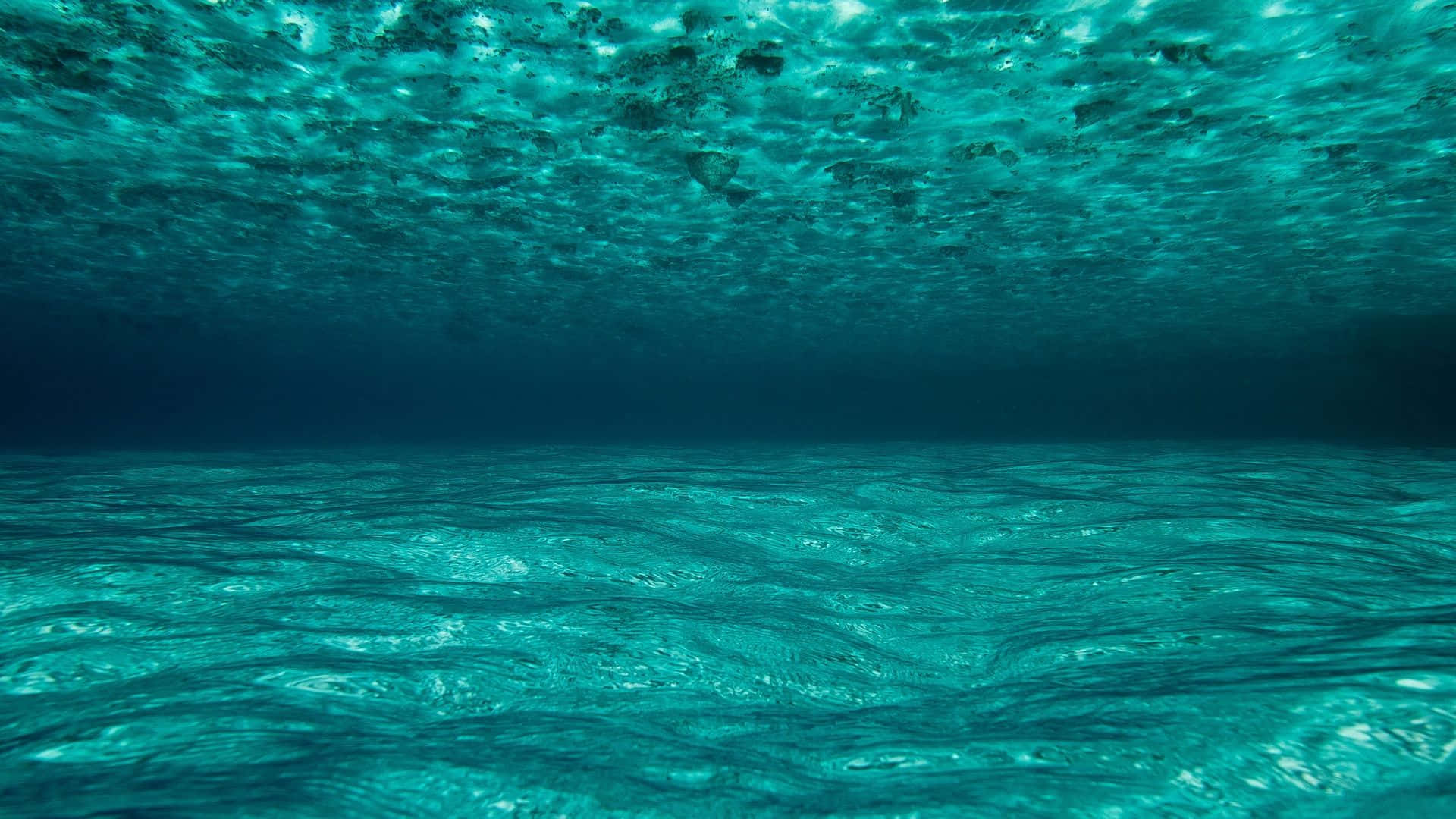 Underwater Ocean 桌布 壁紙 — 透過碧綠海水仰望波光粼粼的水面，光線穿透而下。