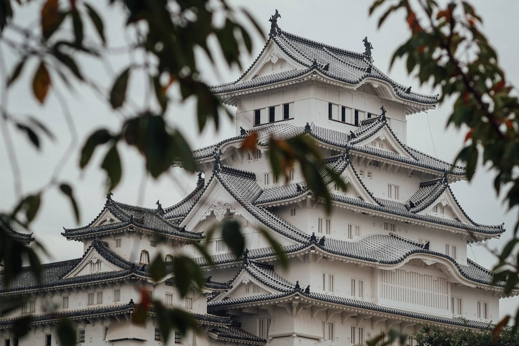Himeji Castle 桌布 壁紙 — 透過秋葉觀看的傳統日本城堡，白色牆壁和深色瓦片屋頂。