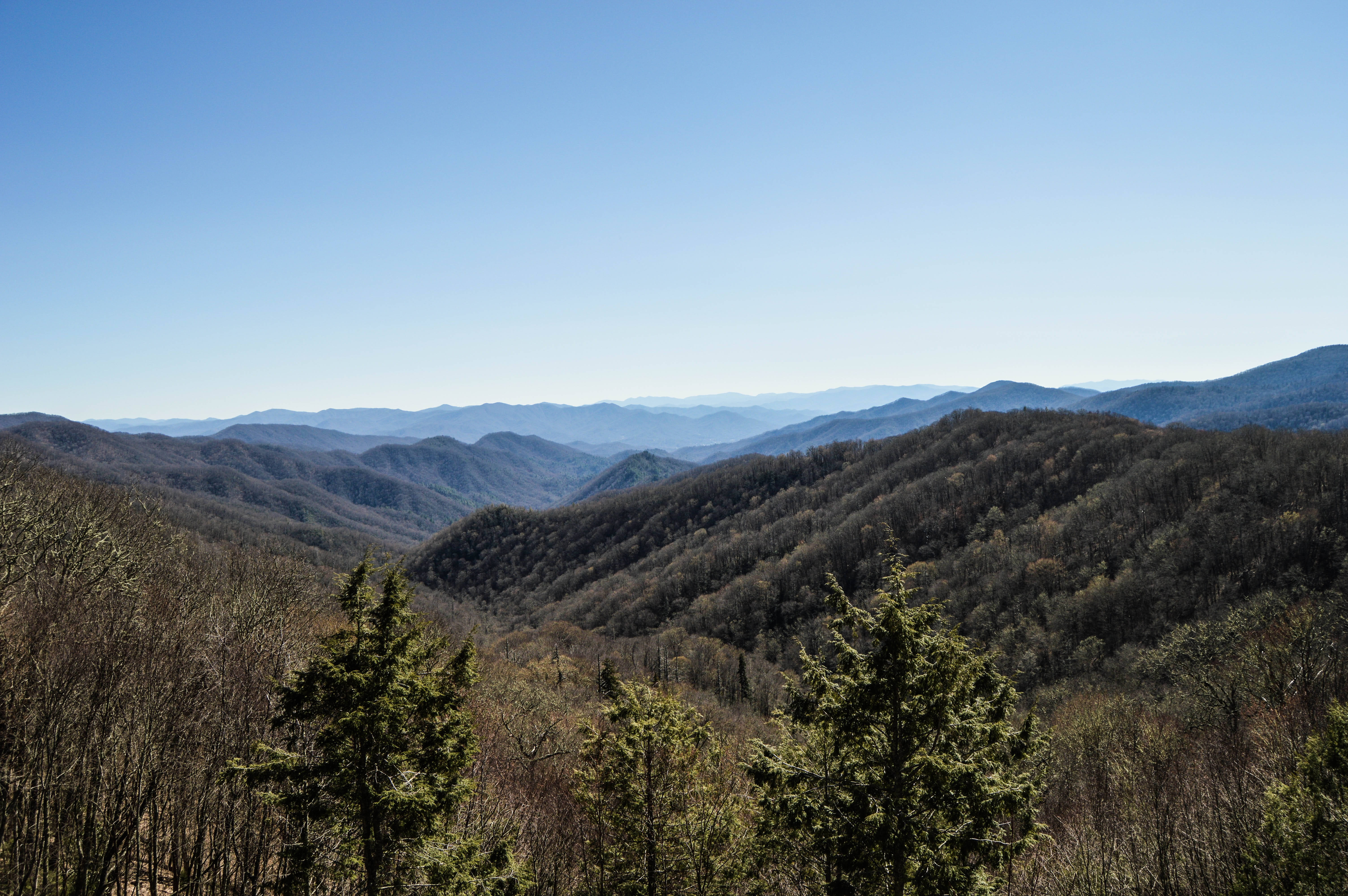Smoky Mountains 桌布 壁紙 — 連綿起伏的森林山脈在廣闊清澈的藍天下延伸至朦朧的遠方，前景有常青樹。