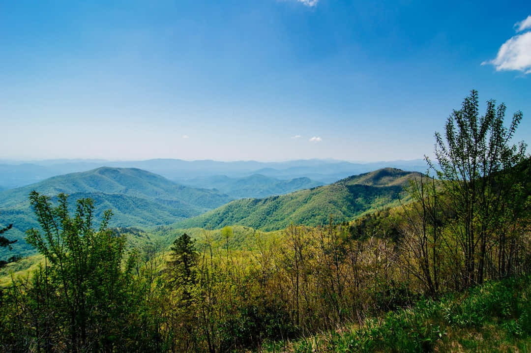 Blue Ridge Mountains 桌布 壁紙 — 連綿起伏的綠色山脈在晴朗的藍天下延伸，點綴著散落的白色雲朵和前景的樹木。