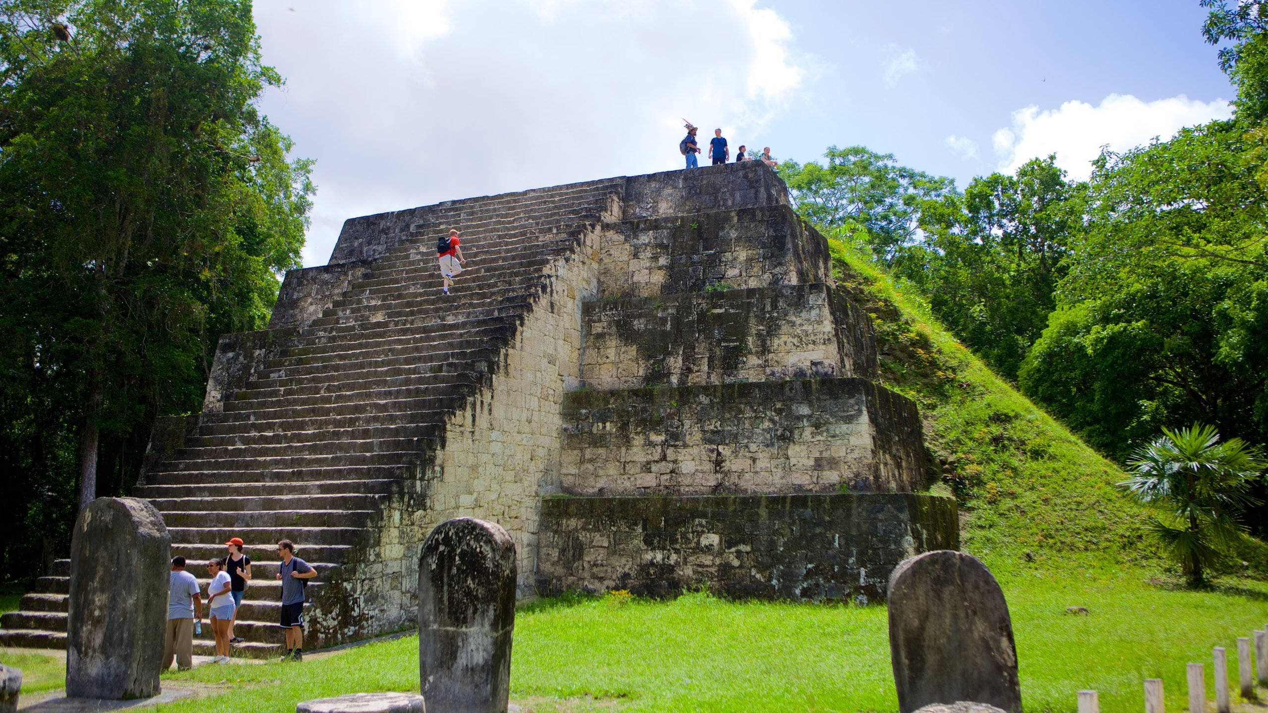 Guatemala 桌布 壁紙 — 遊客爬上瑪雅金字塔的古老石階，四周是茂密的綠色叢林，頭頂是明亮的藍天。