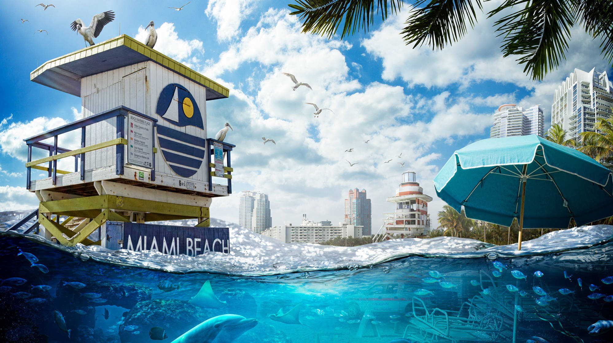 Sea 桌布 壁紙 — 邁阿密海灘的分層景觀，水上設有救生員瞭望塔，棕櫚樹下有海豚在游泳。