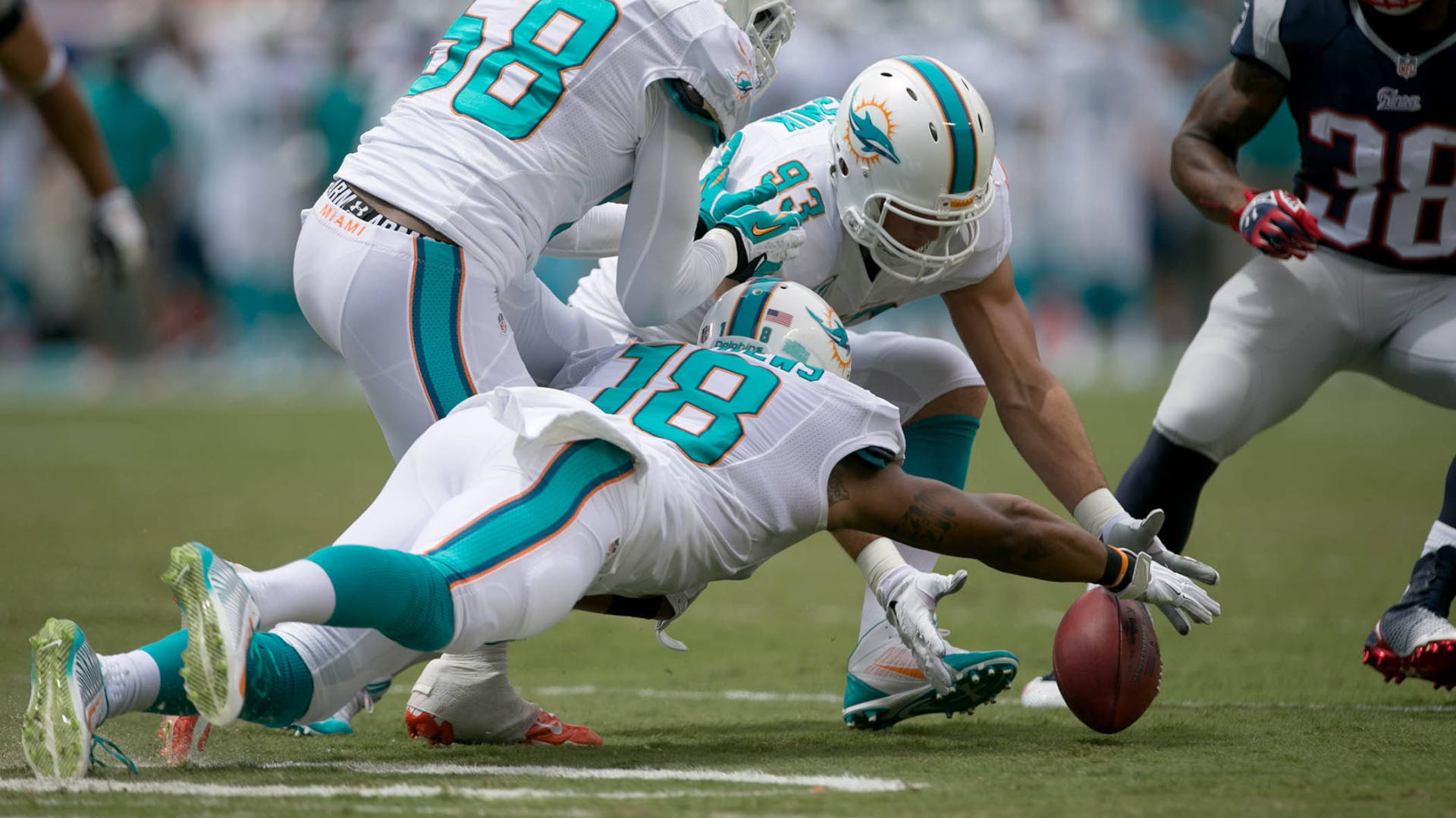 dolphins 桌布 壁紙 — 邁阿密海豚隊18號球員在陽光明媚的草地上撲向橄欖球，同時防守球員對他進行擒抱。