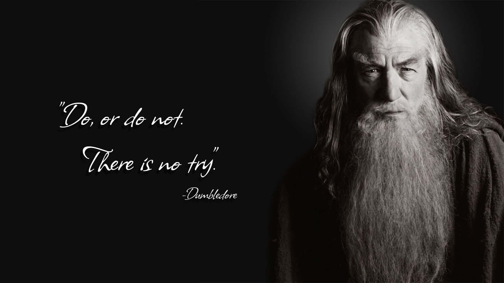 Harry Potter Black And White 桌布 壁紙 — 鄧不利多的黑白肖像，長髮長鬚，在他標誌性的名言旁凝視著。