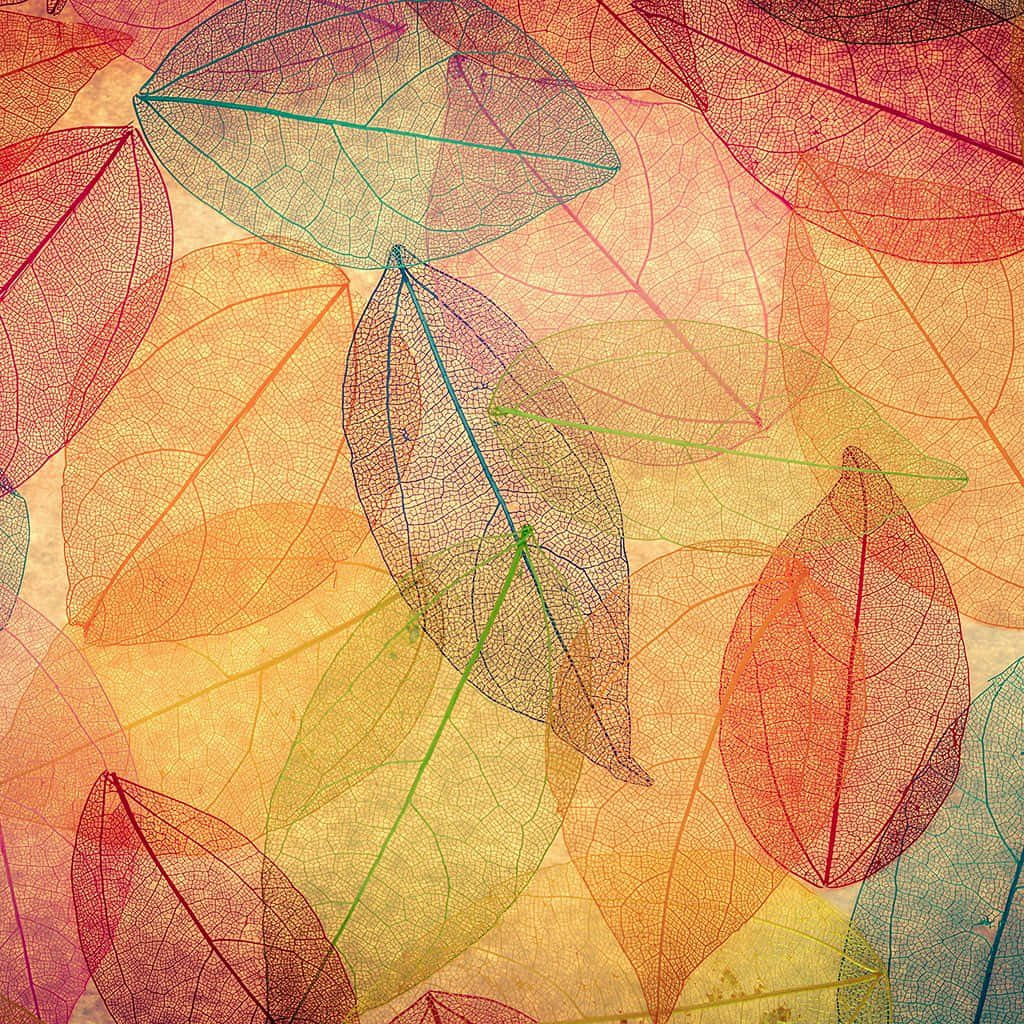 Fall 桌布 壁紙 — 重疊的半透明秋葉，帶有鮮豔的葉脈圖案，在溫暖的紋理背景上發光。