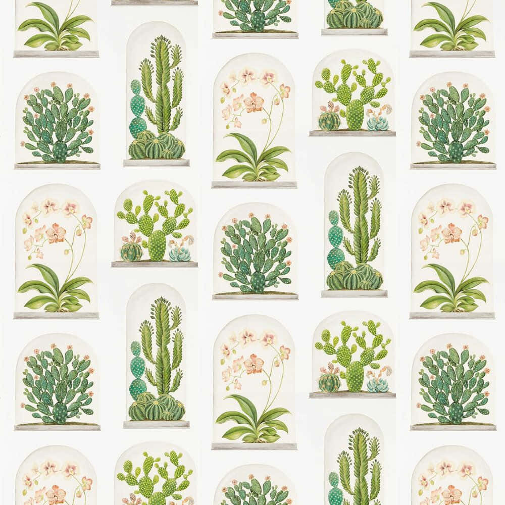 Terrarium 桌布 壁紙 — 重複的壁紙圖案，描繪拱形玻璃罩內的仙人掌和蘭花插圖，背景為白色。