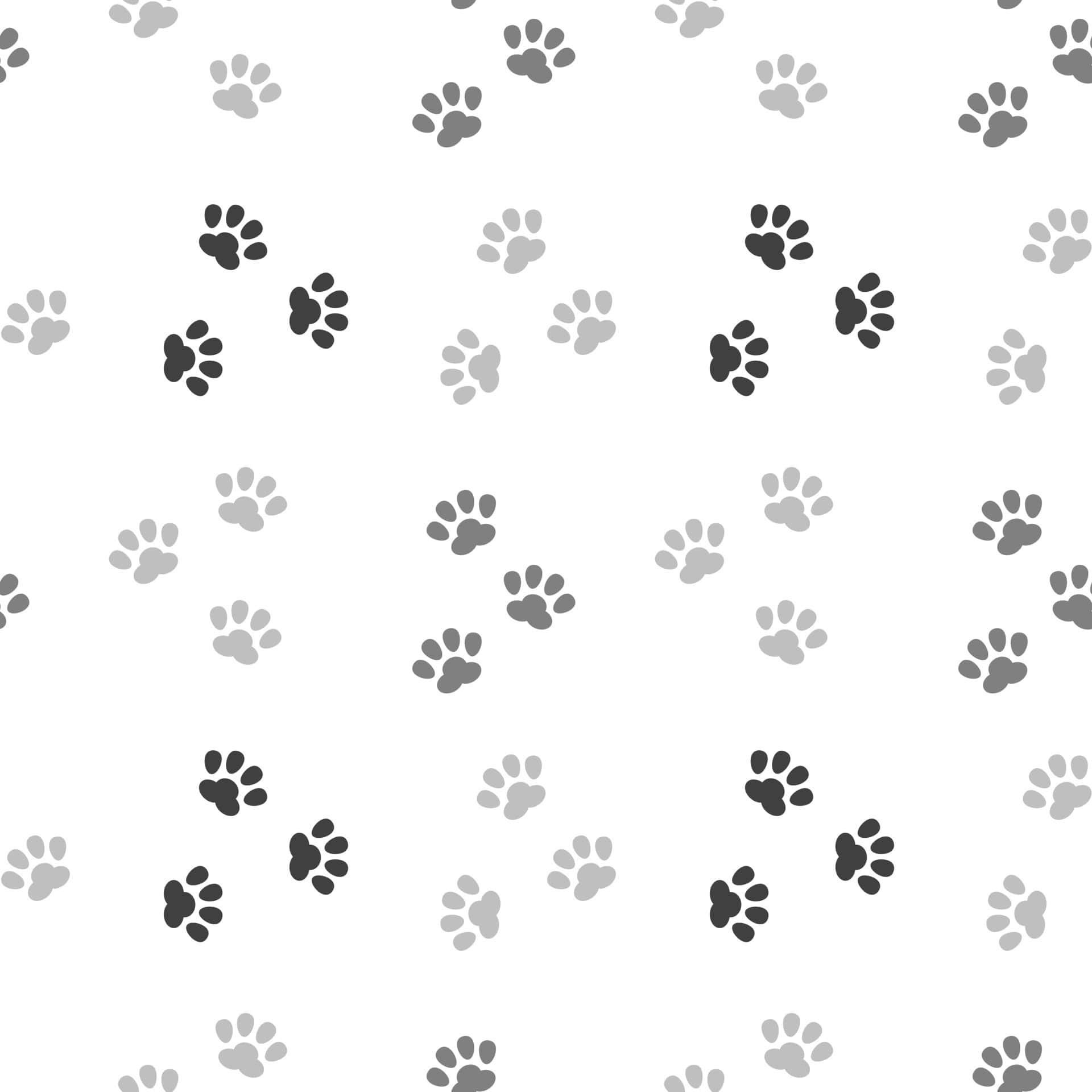 paws 桌布 壁紙 — 重複的灰階爪印圖案，白色背景上帶有不同深淺和分散排列。