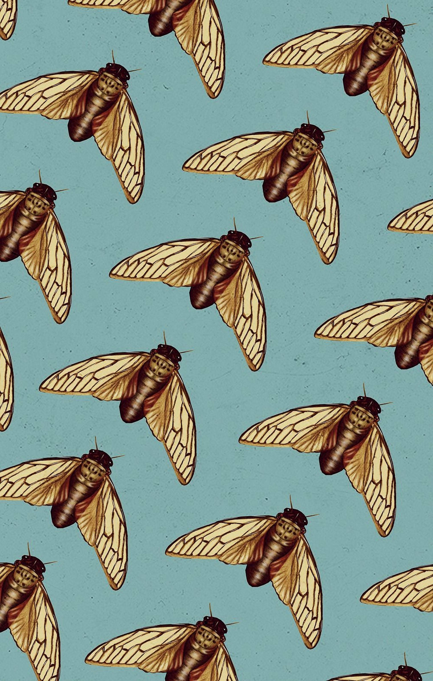 Cicada 桌布 壁紙 — 重複的詳細蟬飛行圖案，背景為有紋理的青綠色。
