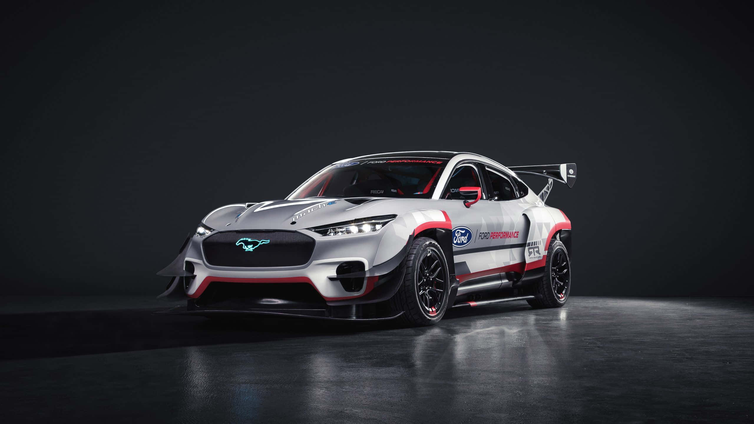 野馬 2560 x 1440 桌布 壁紙