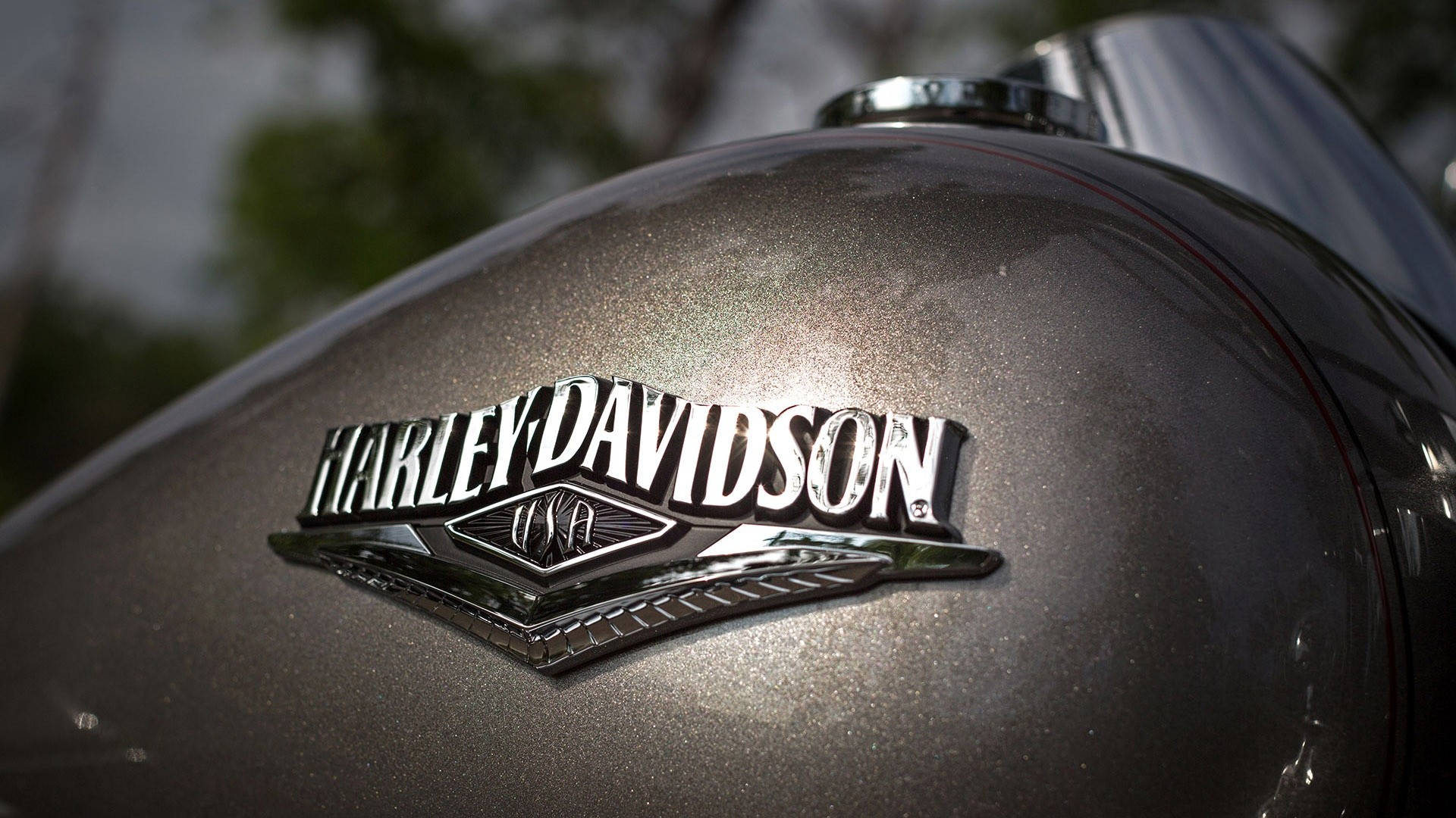 Harley 桌布 壁紙 — 金屬油箱上閃亮的Harley-Davidson標誌特寫，背景有模糊的綠色樹葉。