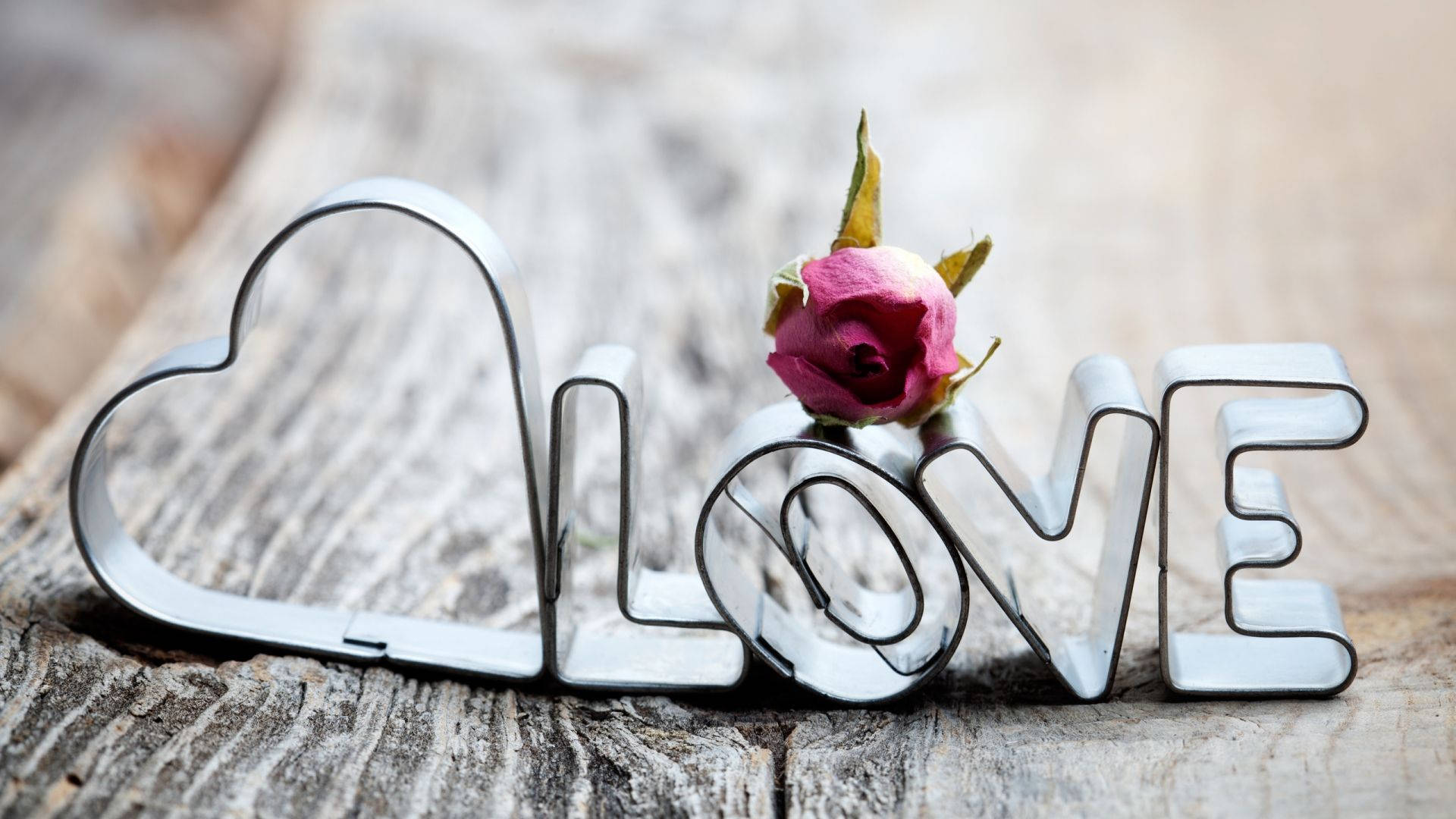 愛心 桌布 壁紙 — 金屬餅乾模具拼出 love 字樣，放在經風化的木頭上，O 字中嵌著一朵凋謝的粉紅玫瑰。